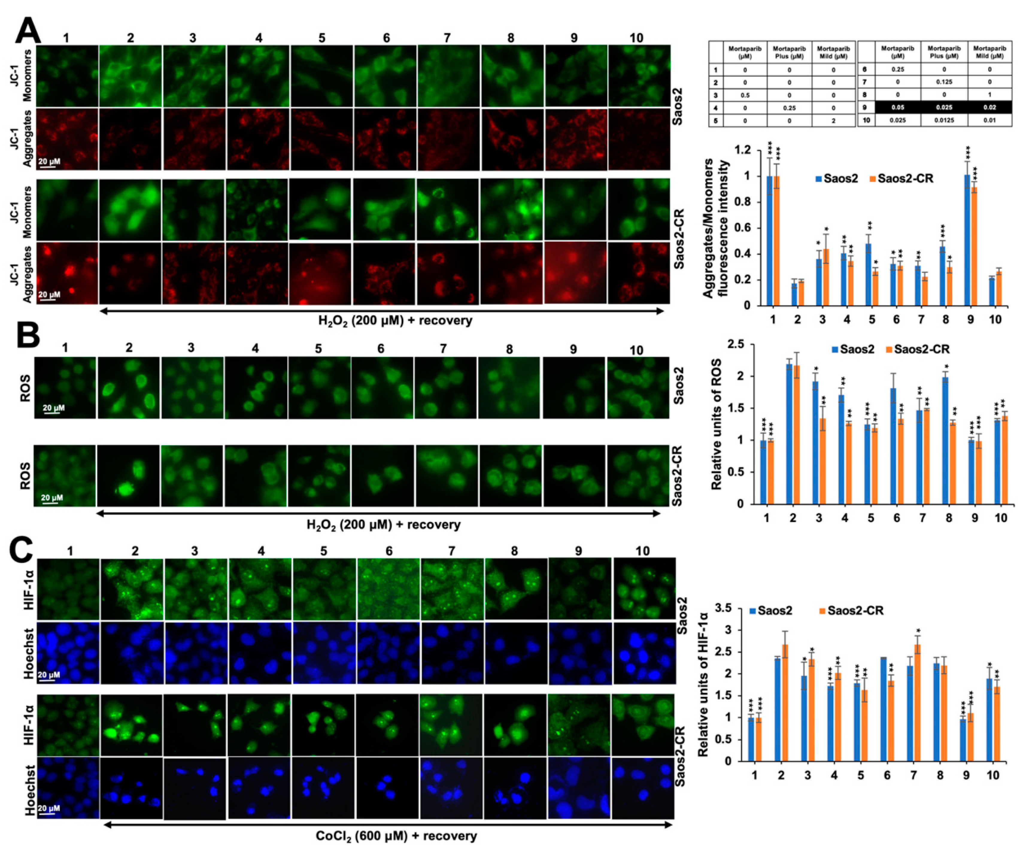 Cancers 16 02239 g008