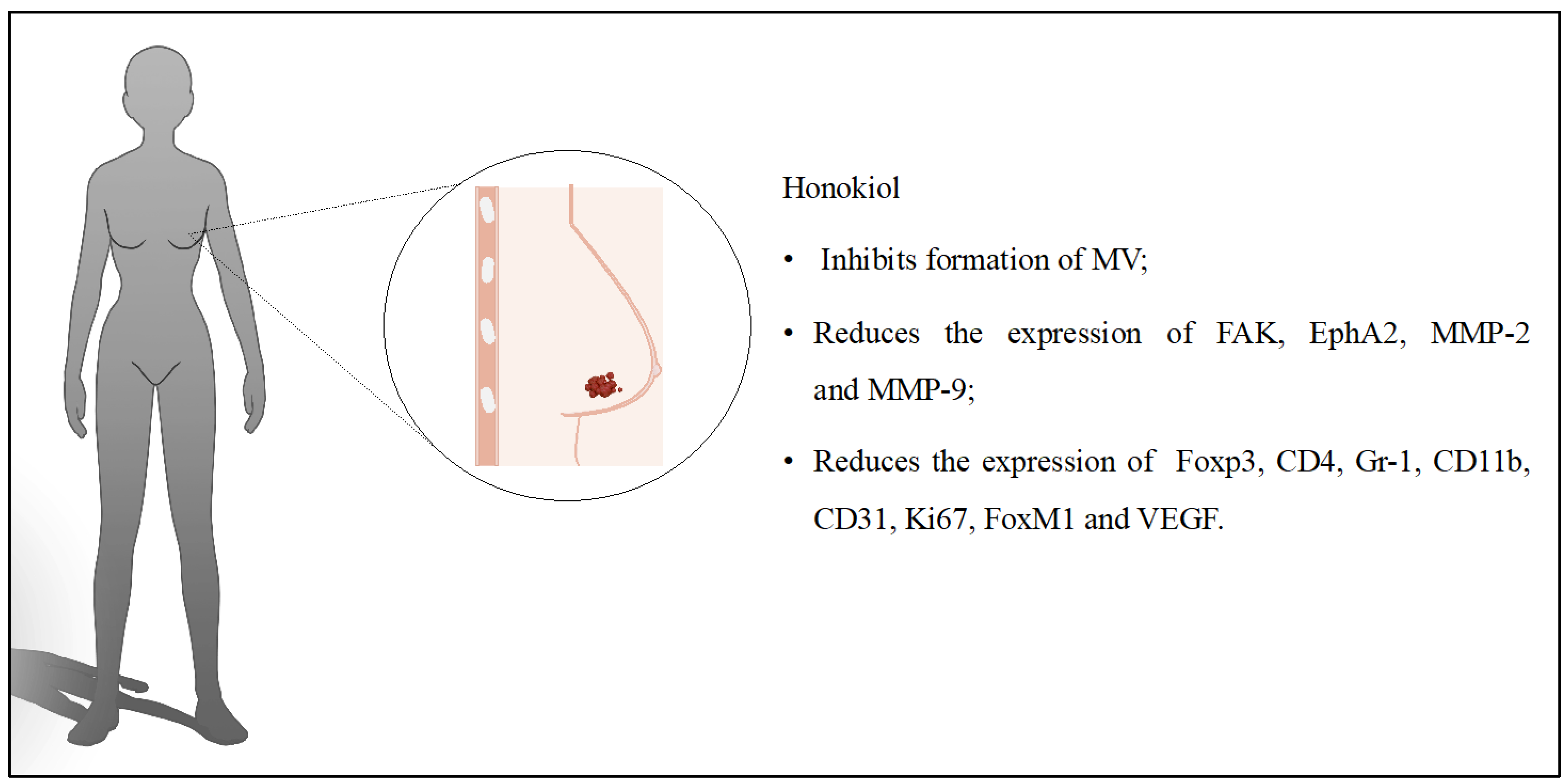 Cancers 16 02257 g002