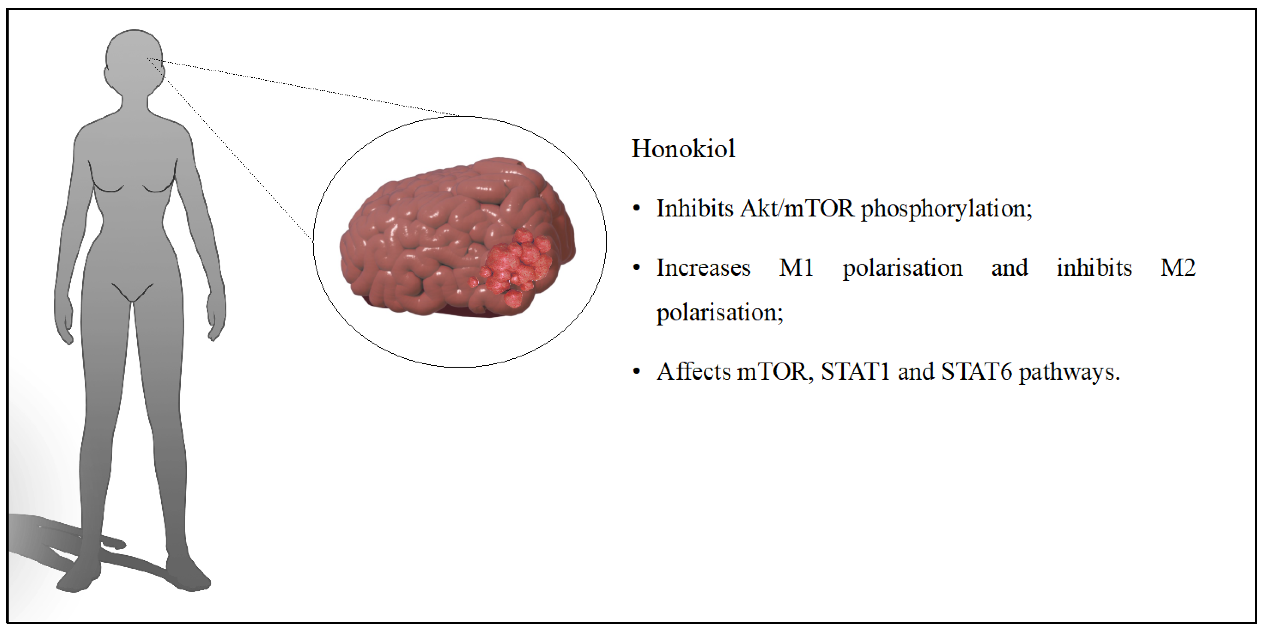 Cancers 16 02257 g003