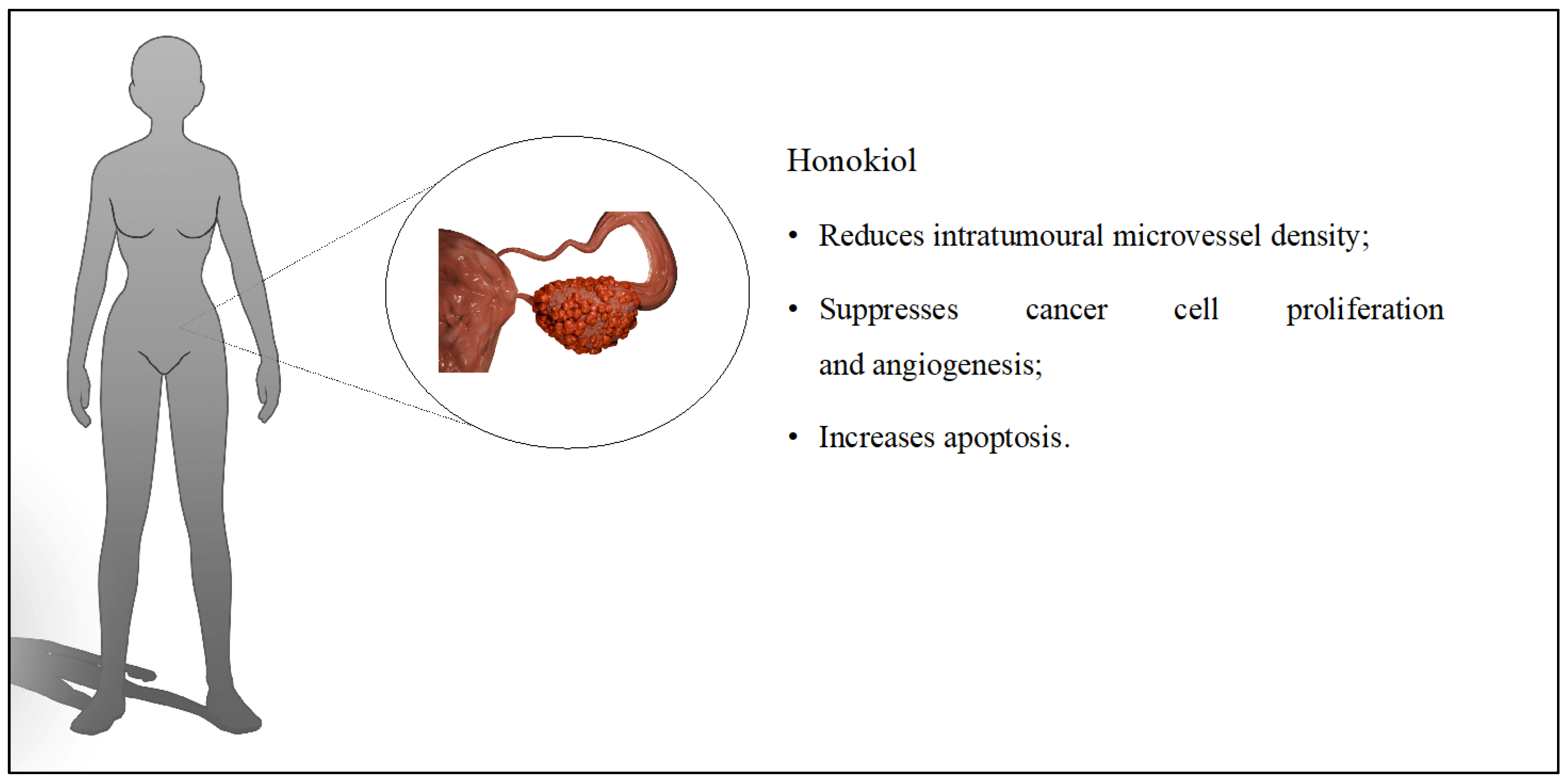 Cancers 16 02257 g004