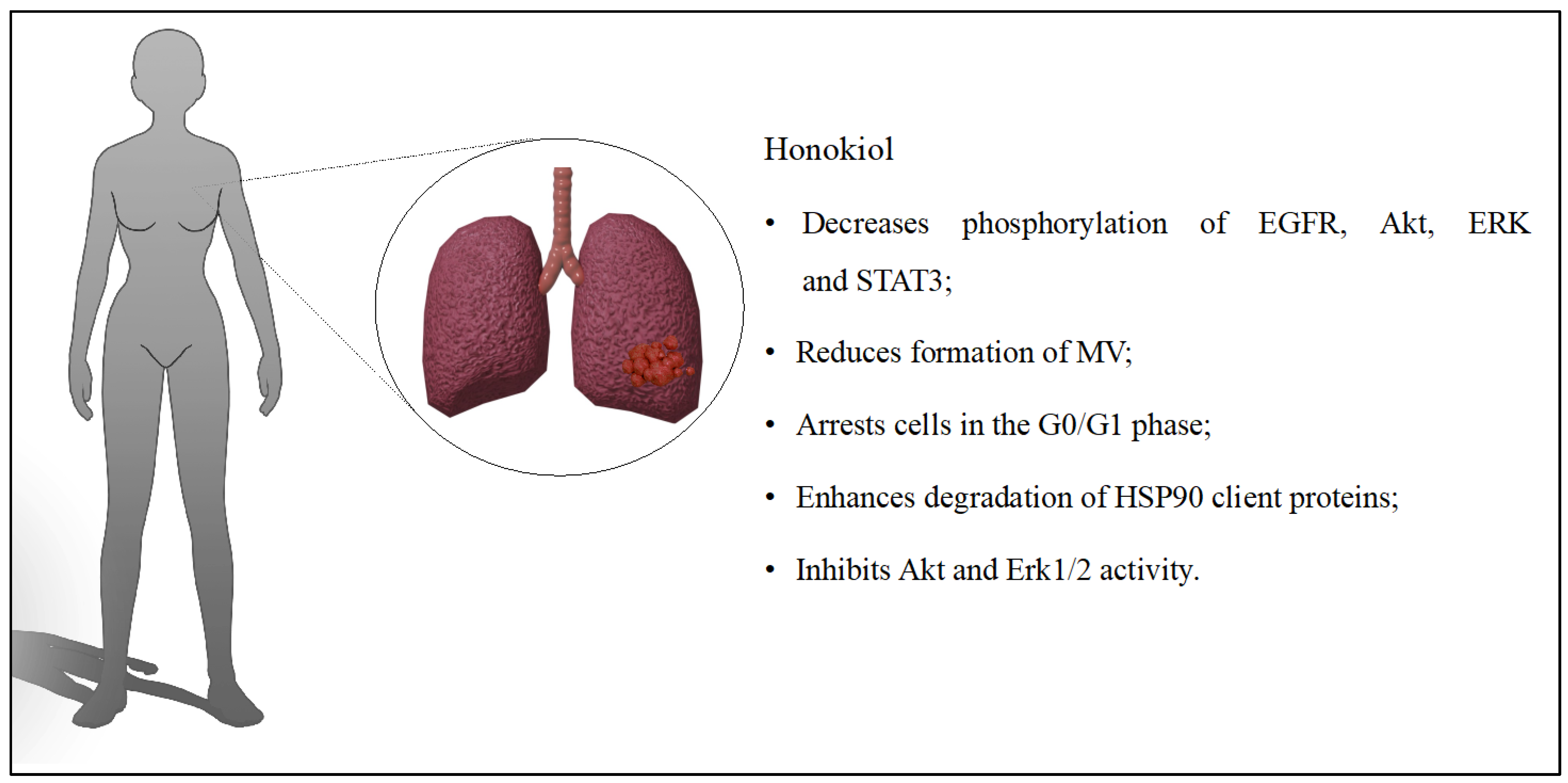 Cancers 16 02257 g005