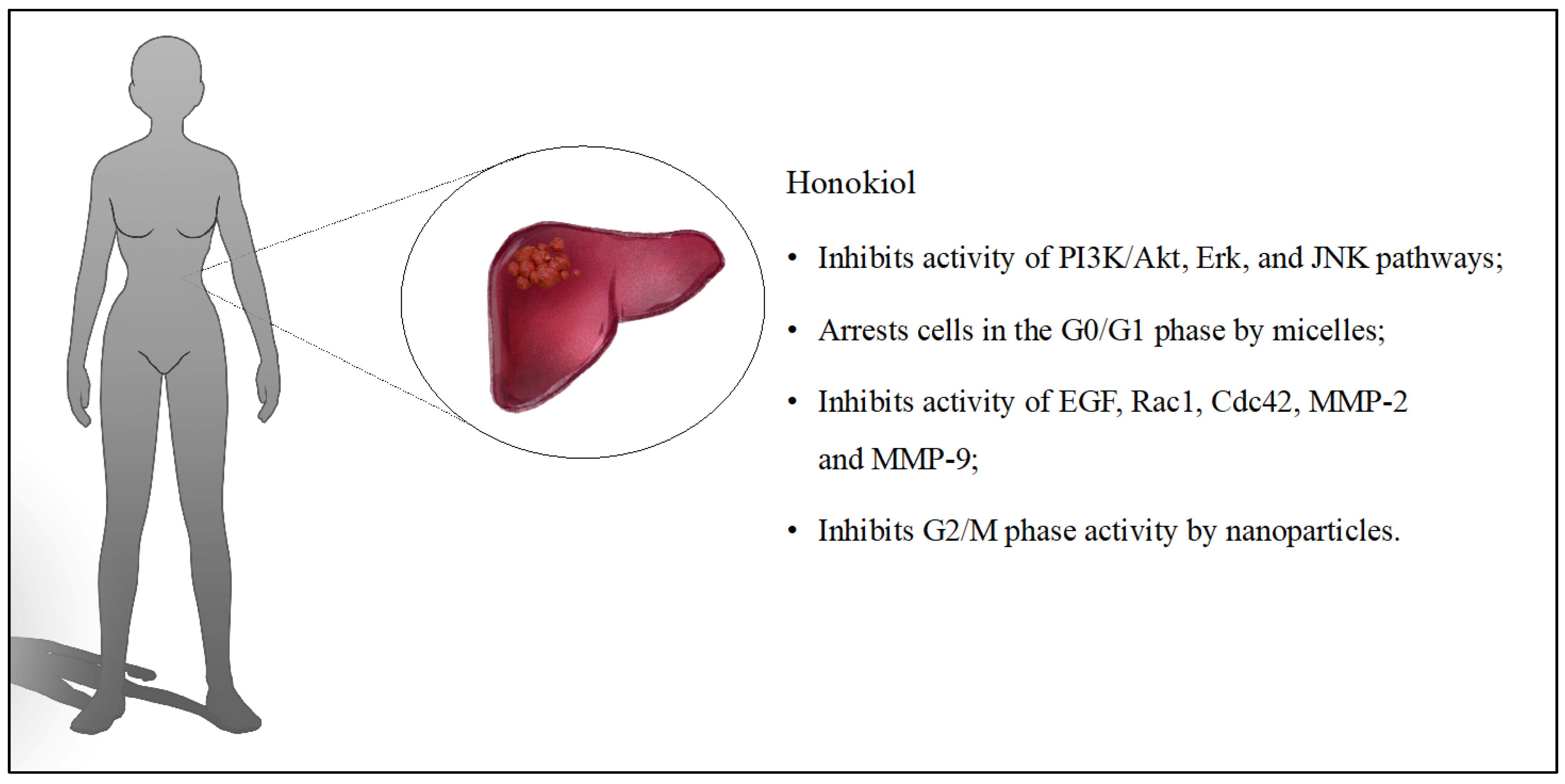 Cancers 16 02257 g006