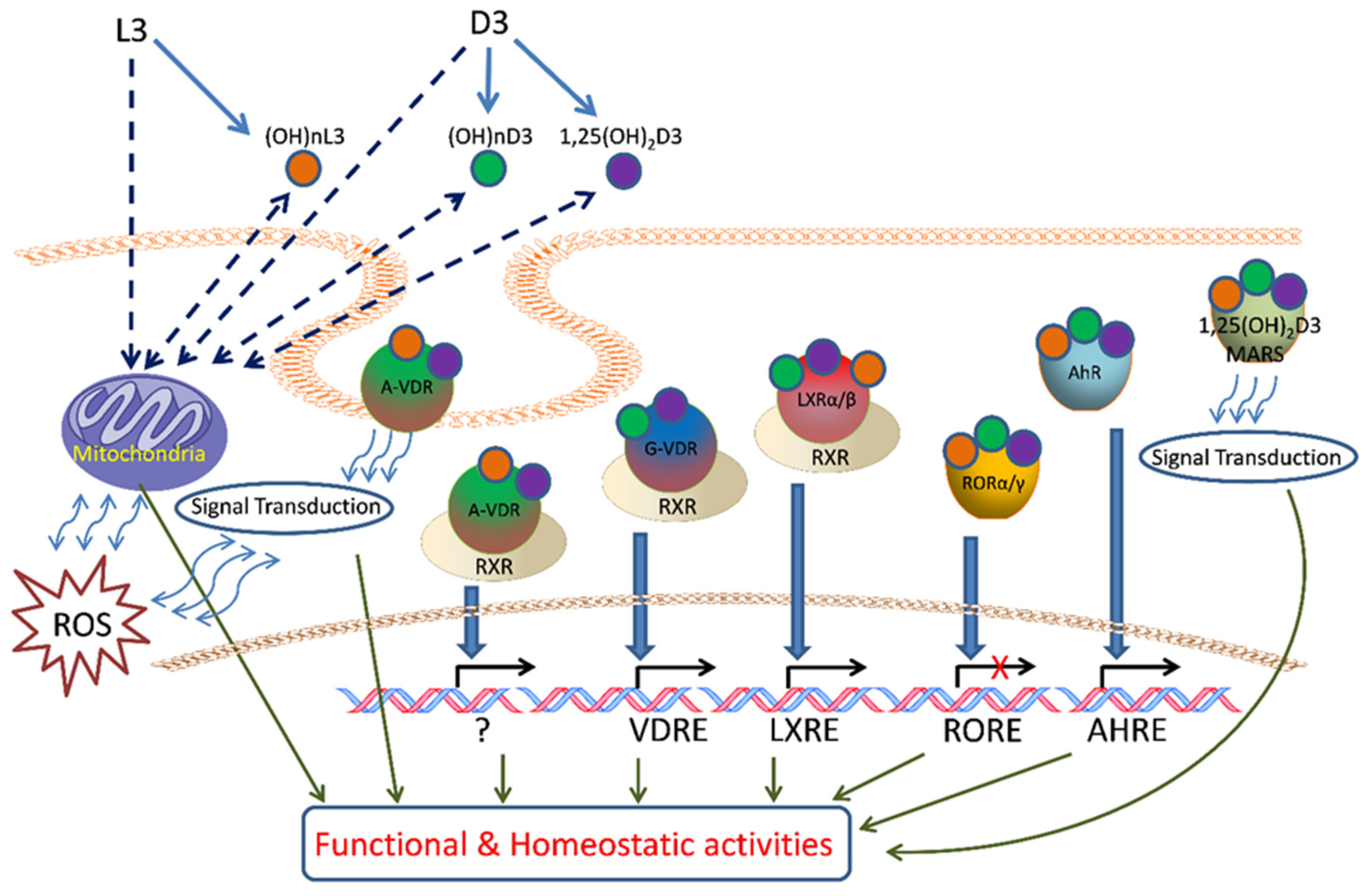 Cancers 16 02262 g003