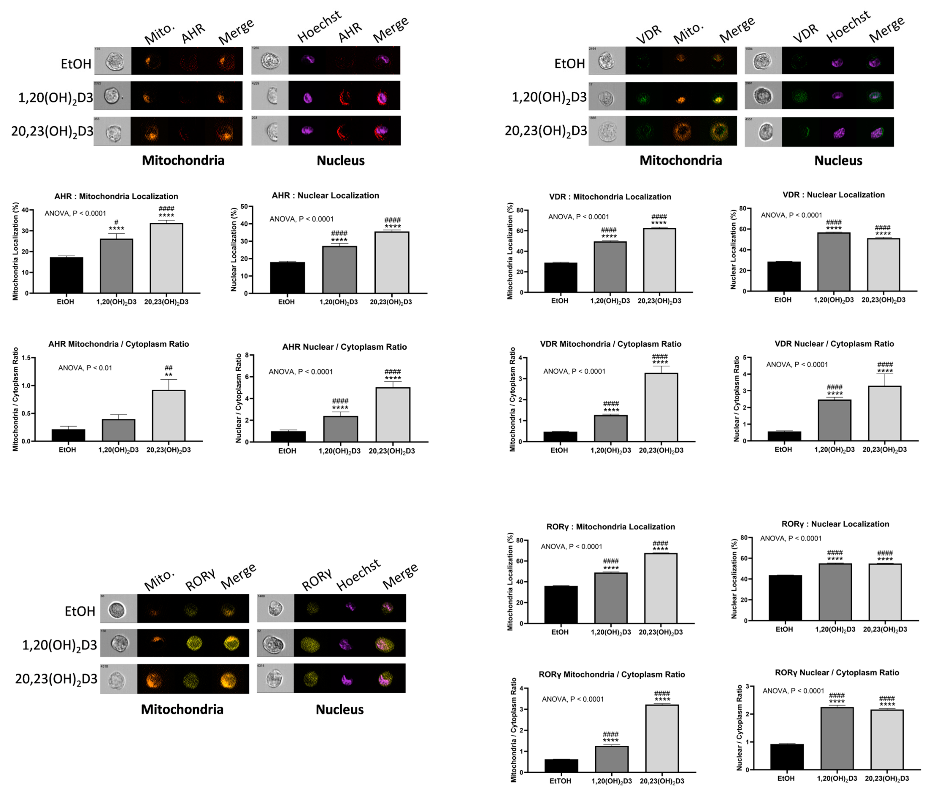 Cancers 16 02262 g006