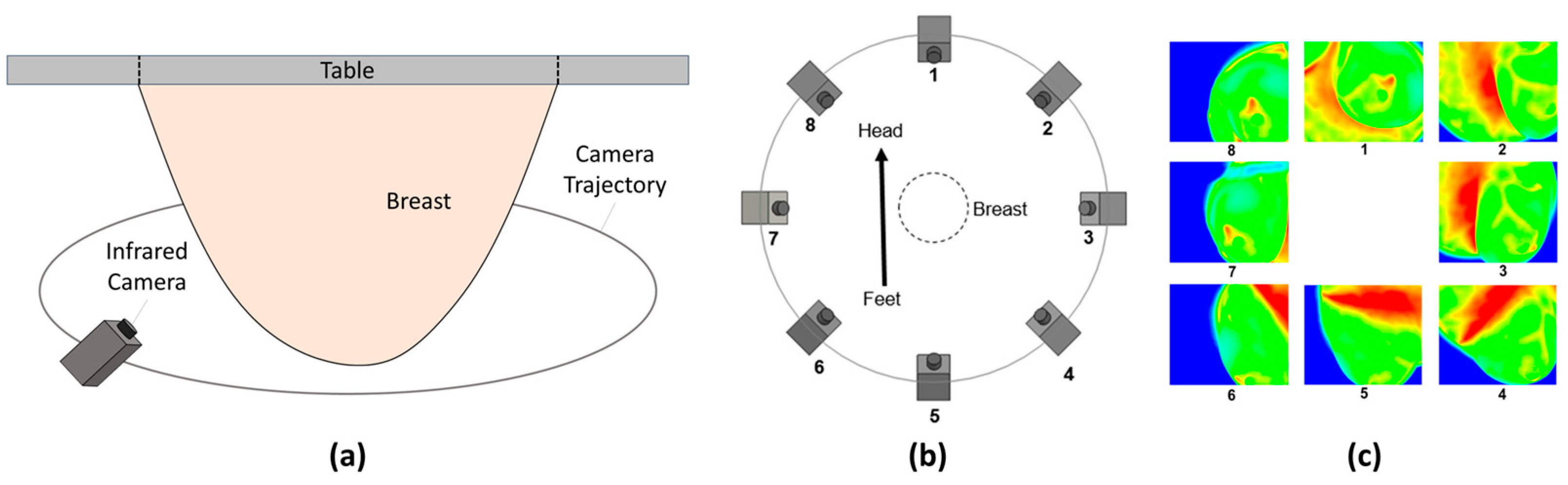 Cancers 16 02264 g001