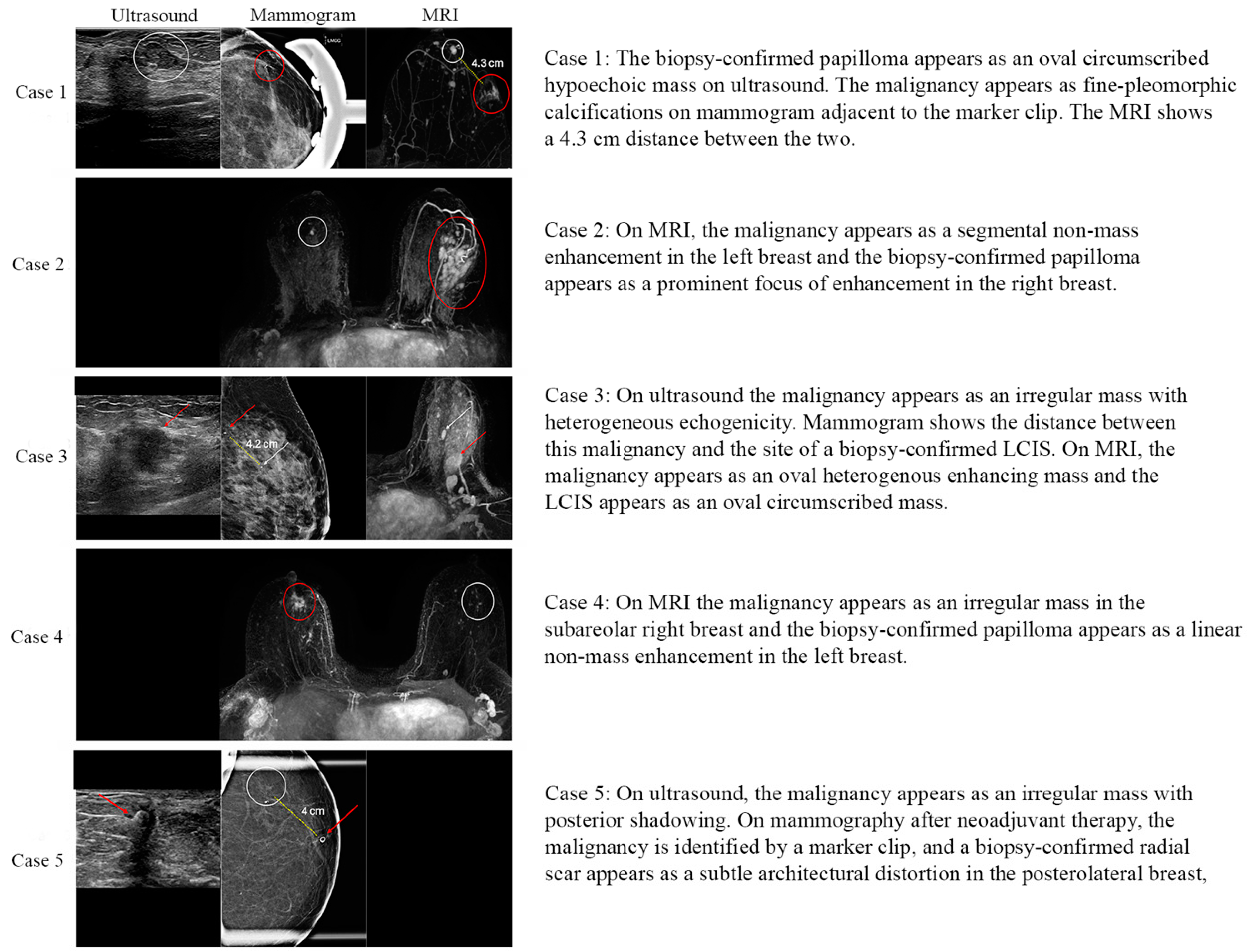 Cancers 16 02268 g001