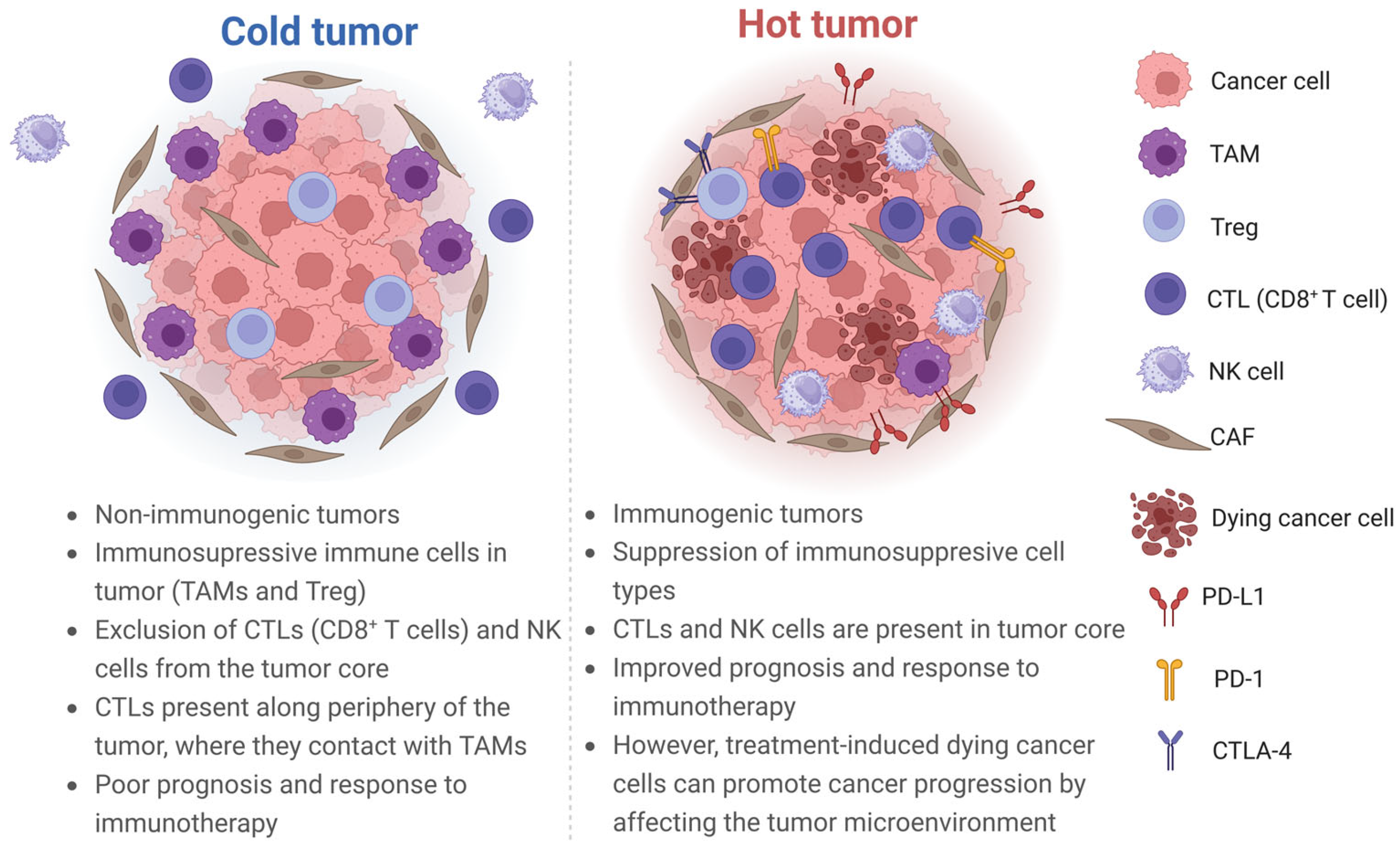 Cancers 16 02270 g002 Cancers 16 02270 g002
