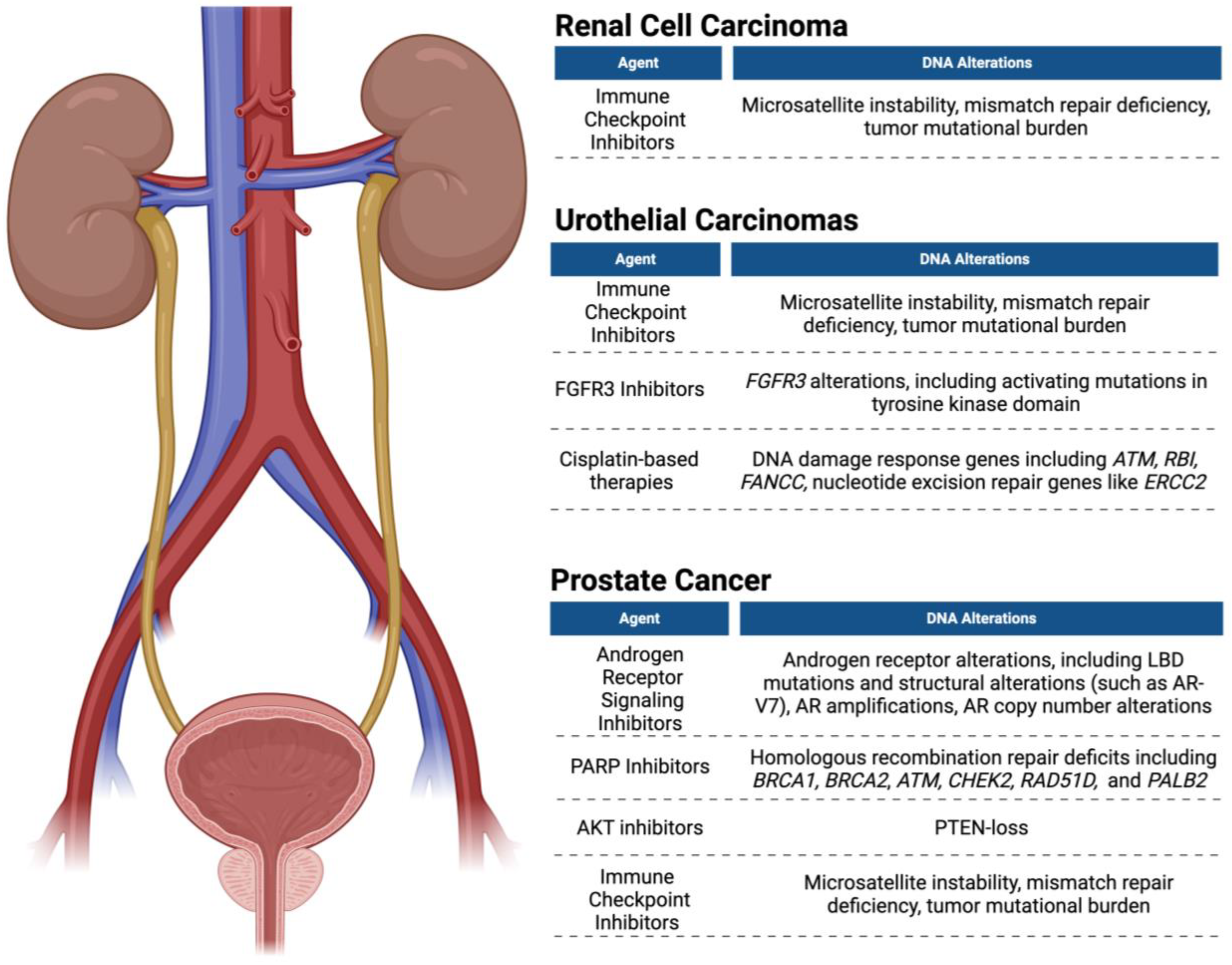 Cancers 16 02280 g002