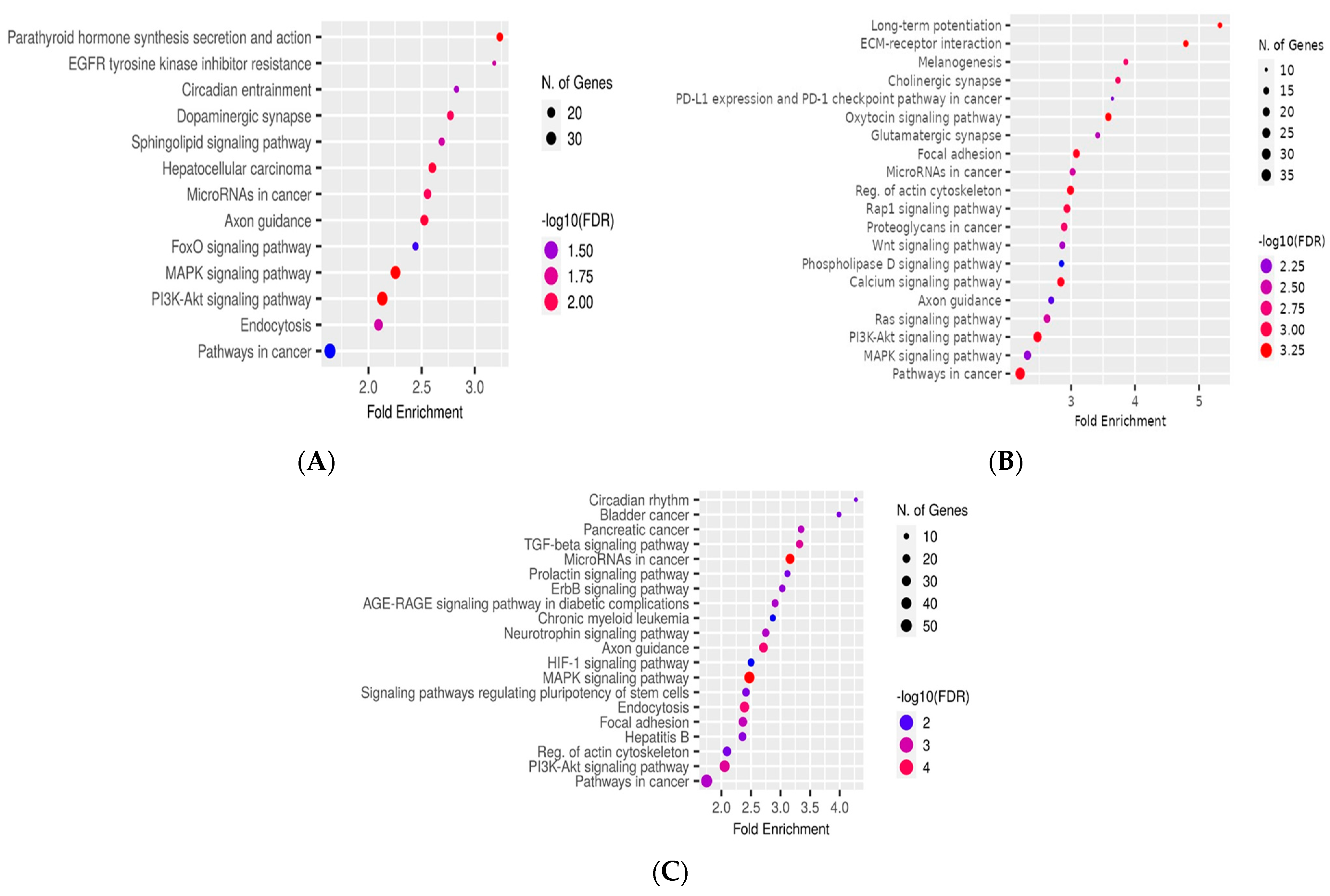 Cancers 16 02285 g010