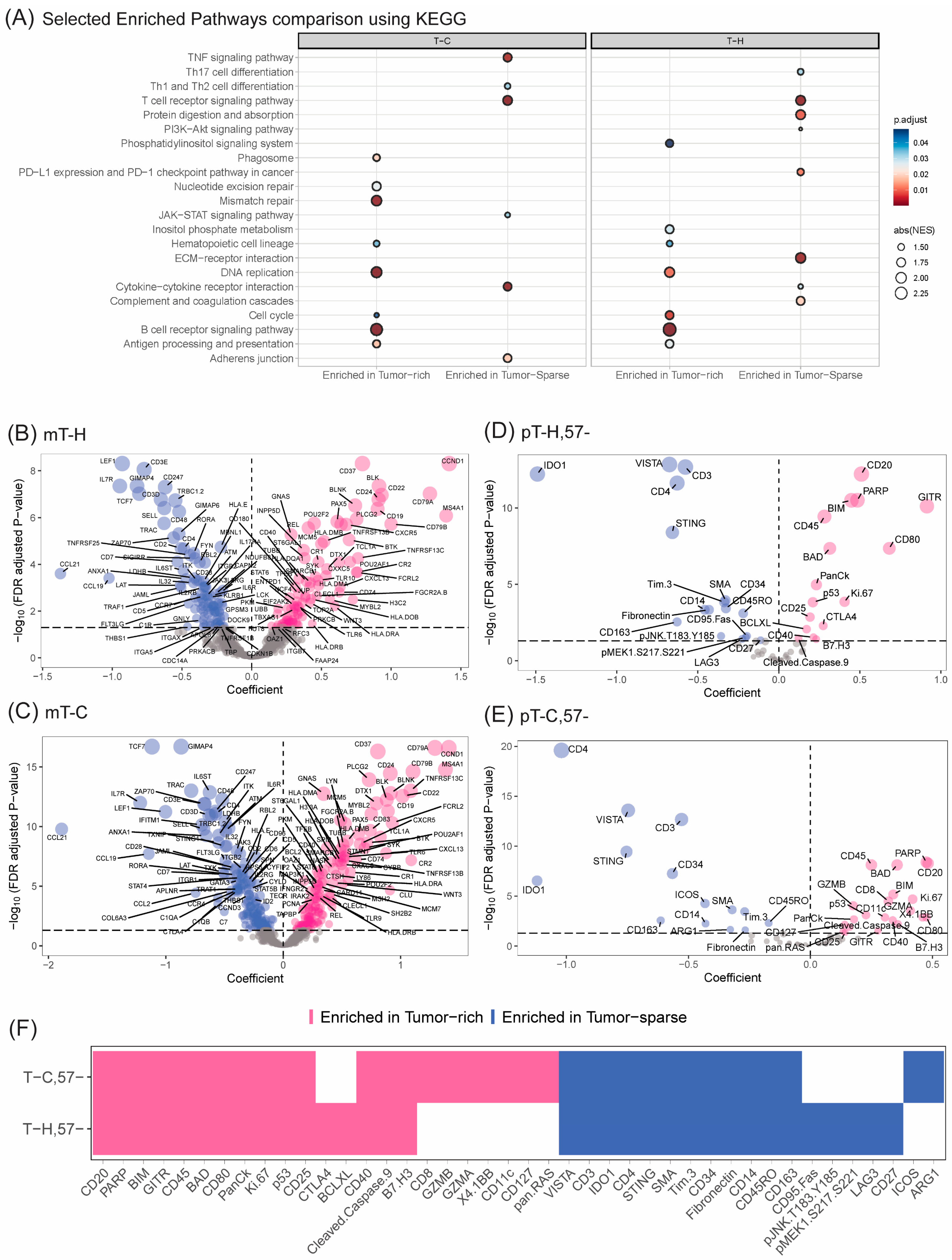Cancers 16 02289 g005 Cancers 16 02289 g005