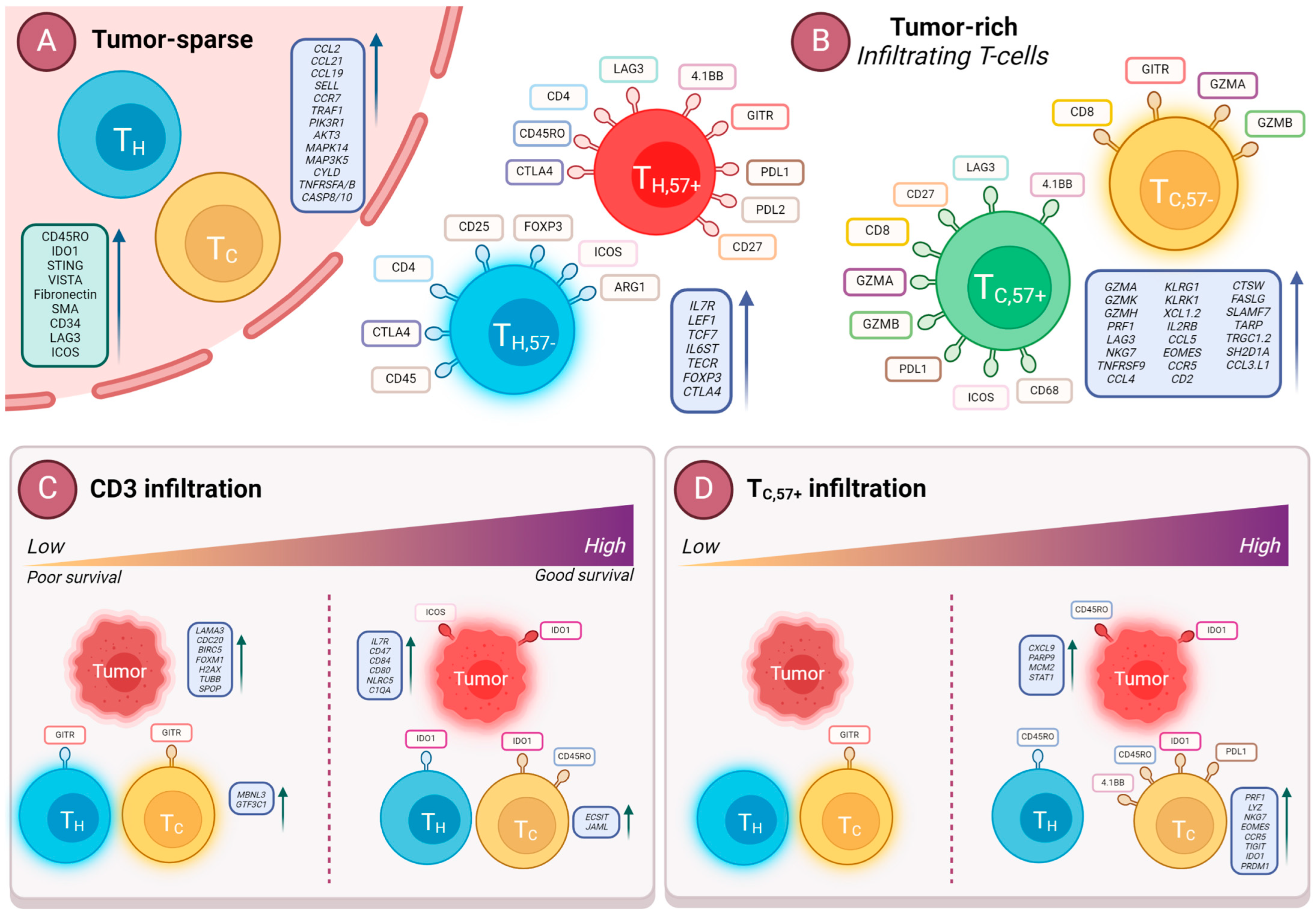 Cancers 16 02289 g009 Cancers 16 02289 g009