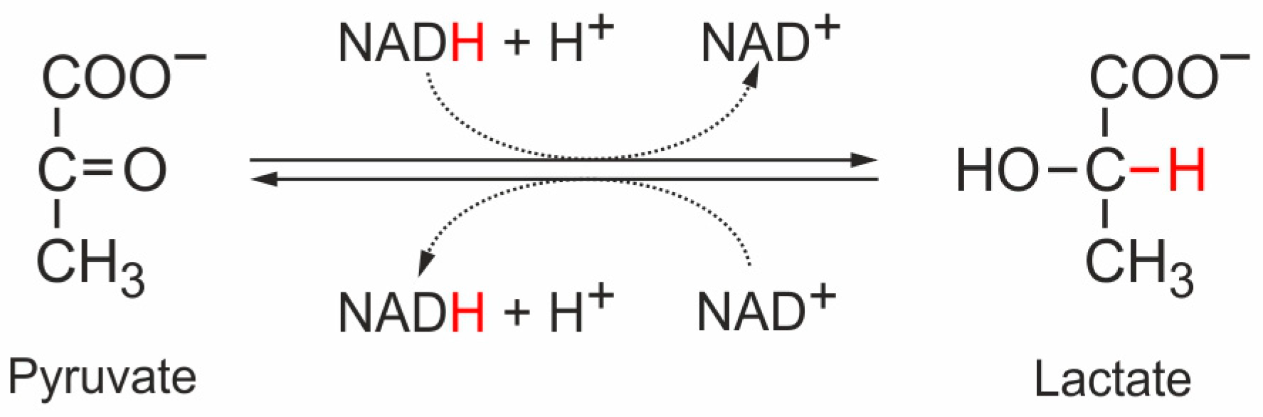 Cancers 16 02290 g002
