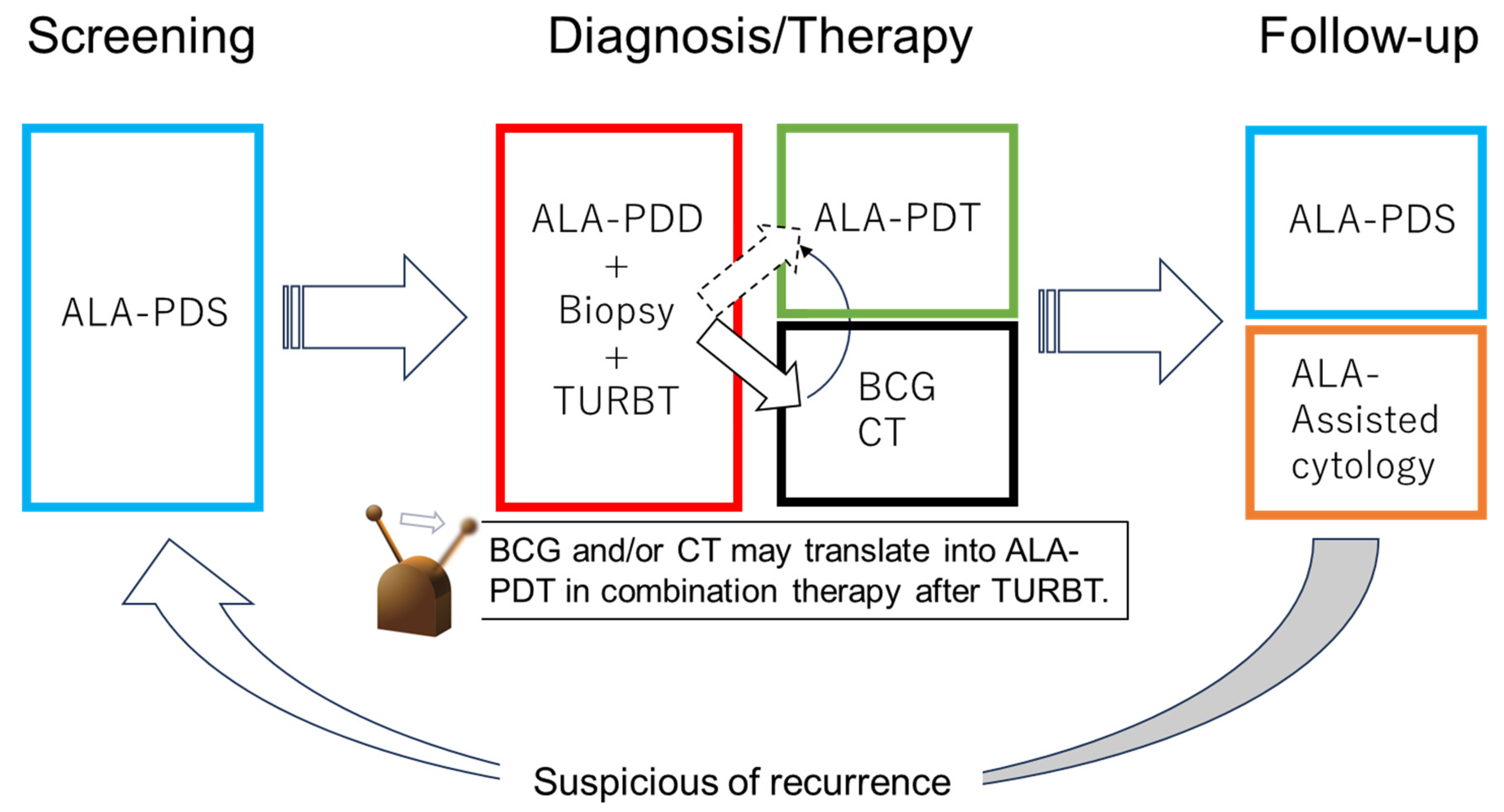 Cancers 16 02299 g004 Cancers 16 02299 g004