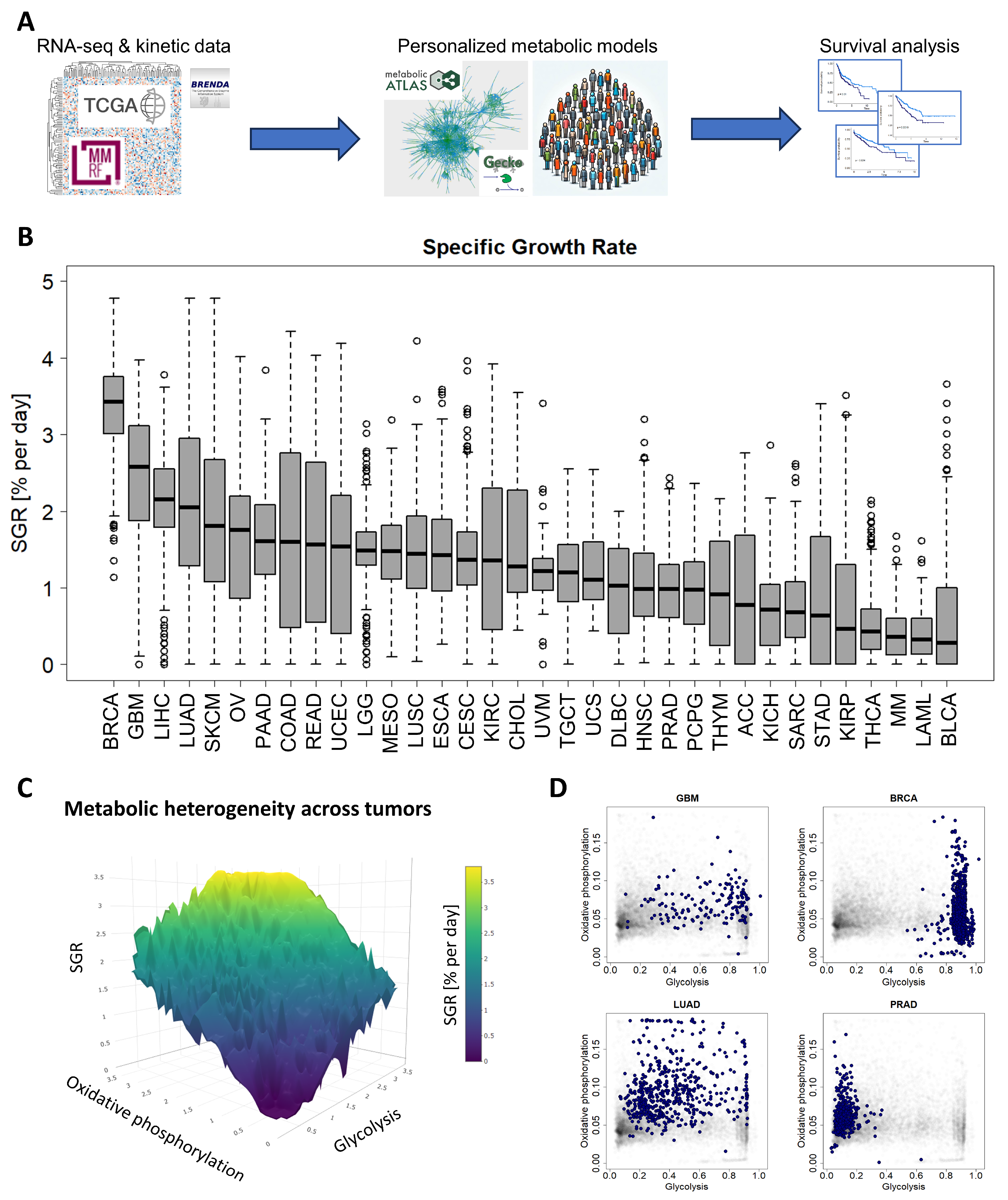 Cancers 16 02302 g001