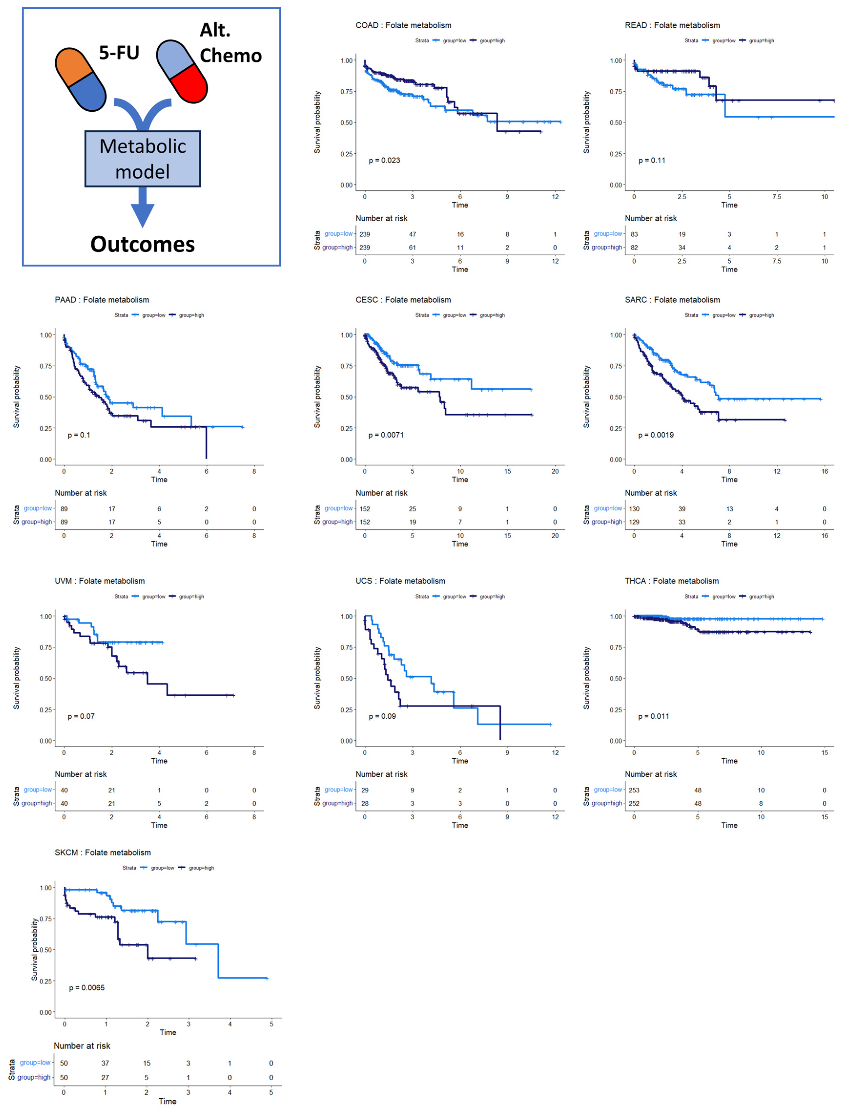 Cancers 16 02302 g005