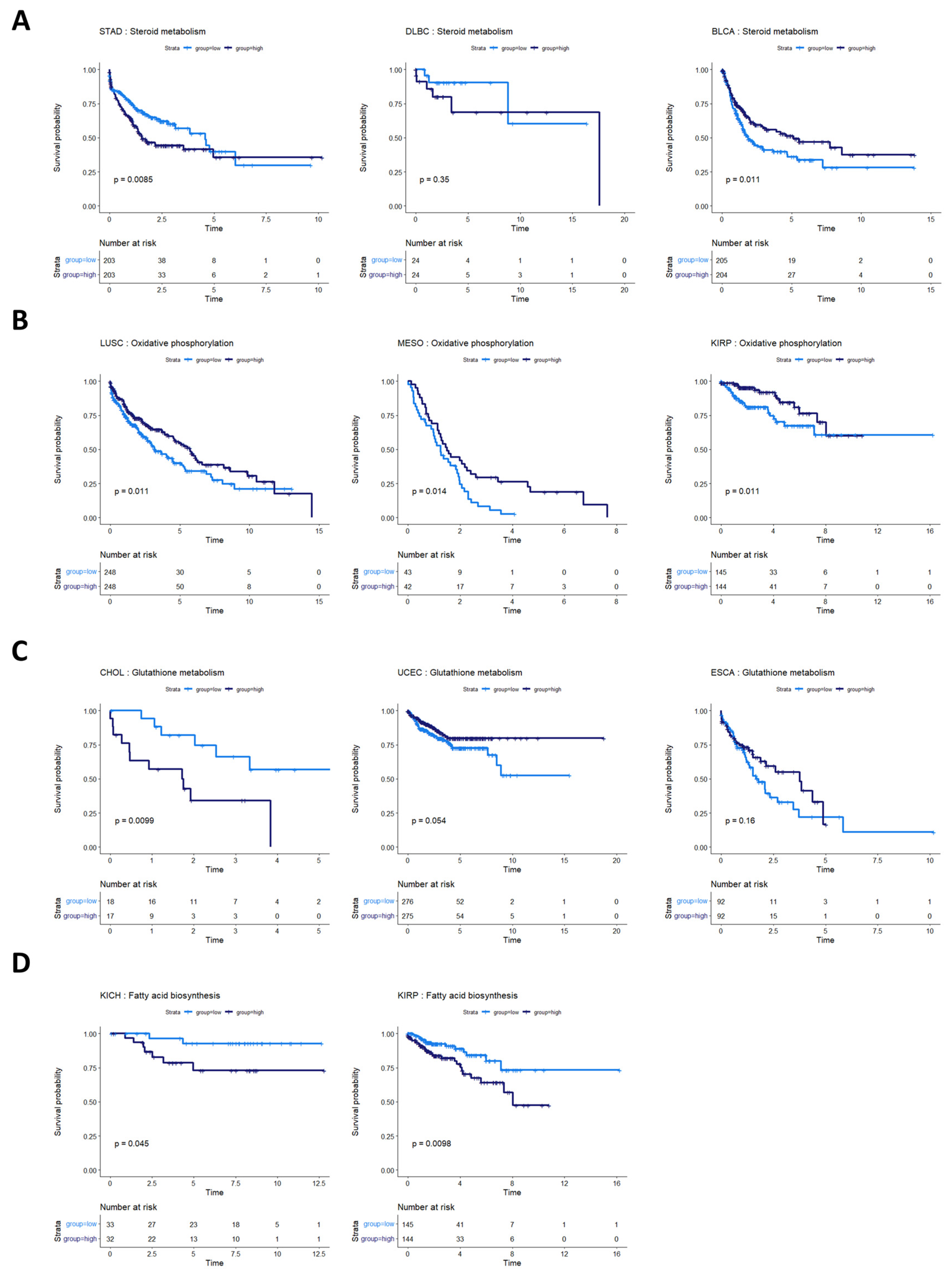 Cancers 16 02302 g006