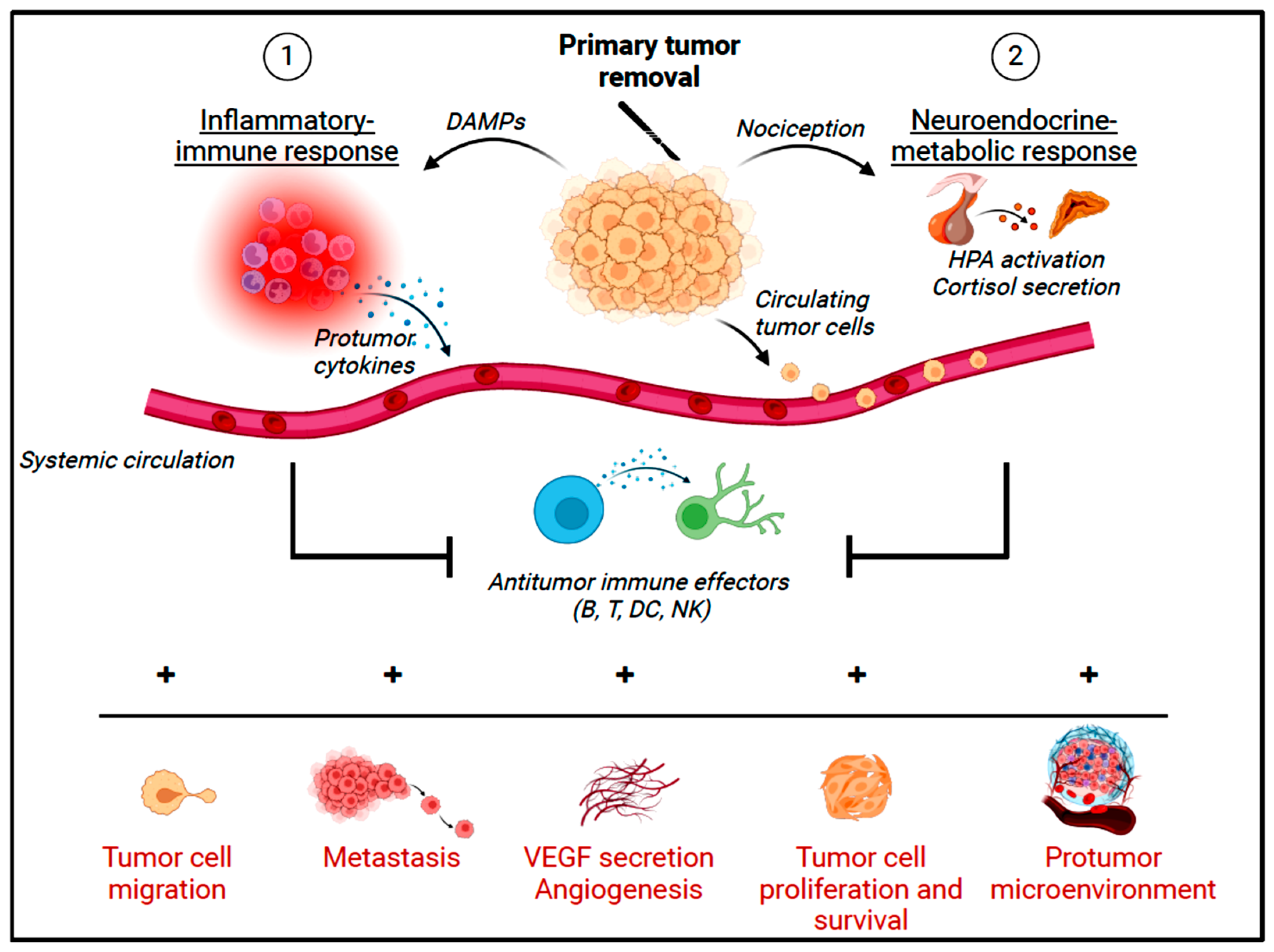 Cancers 16 02304 g002