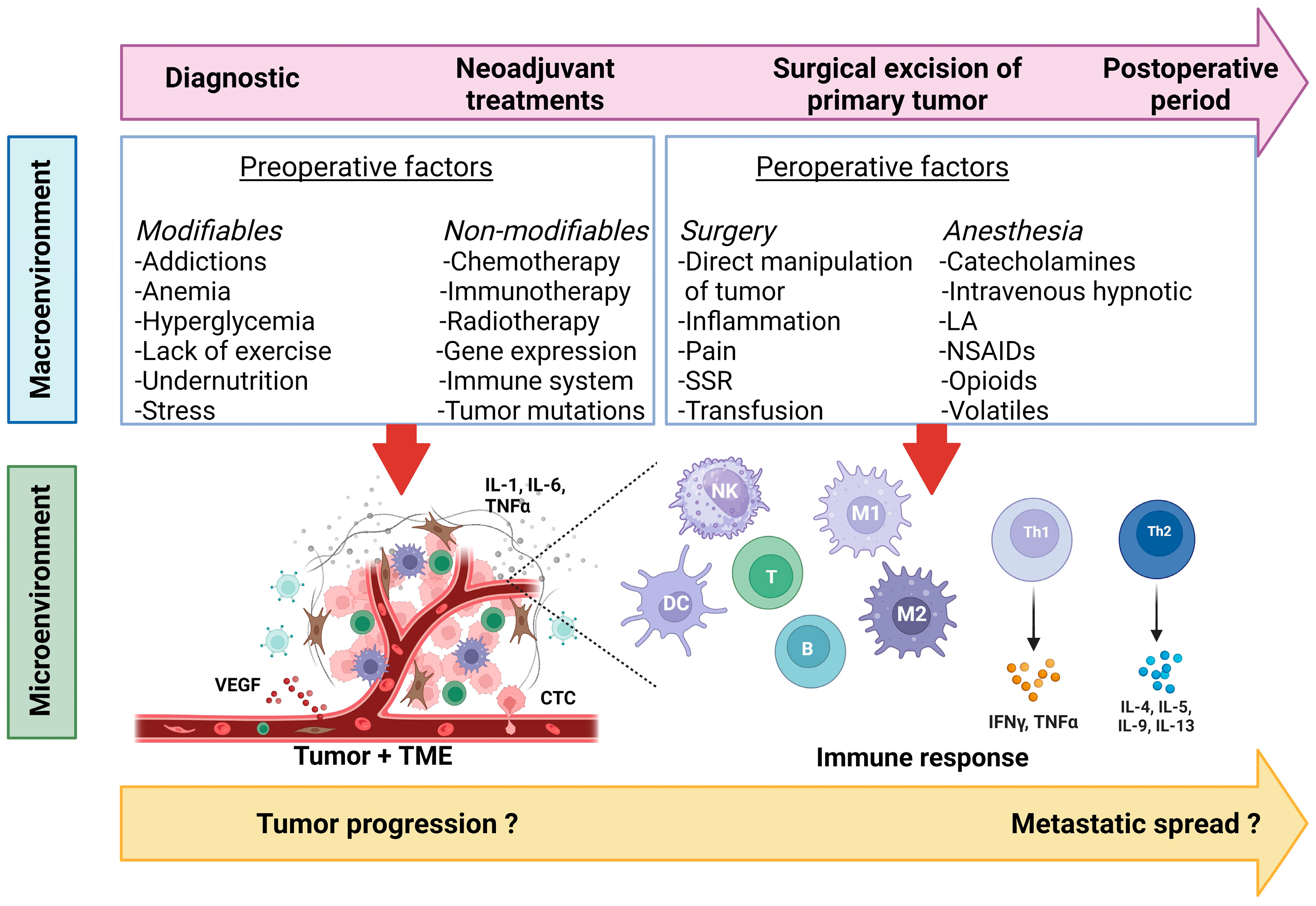 Cancers 16 02304 g003