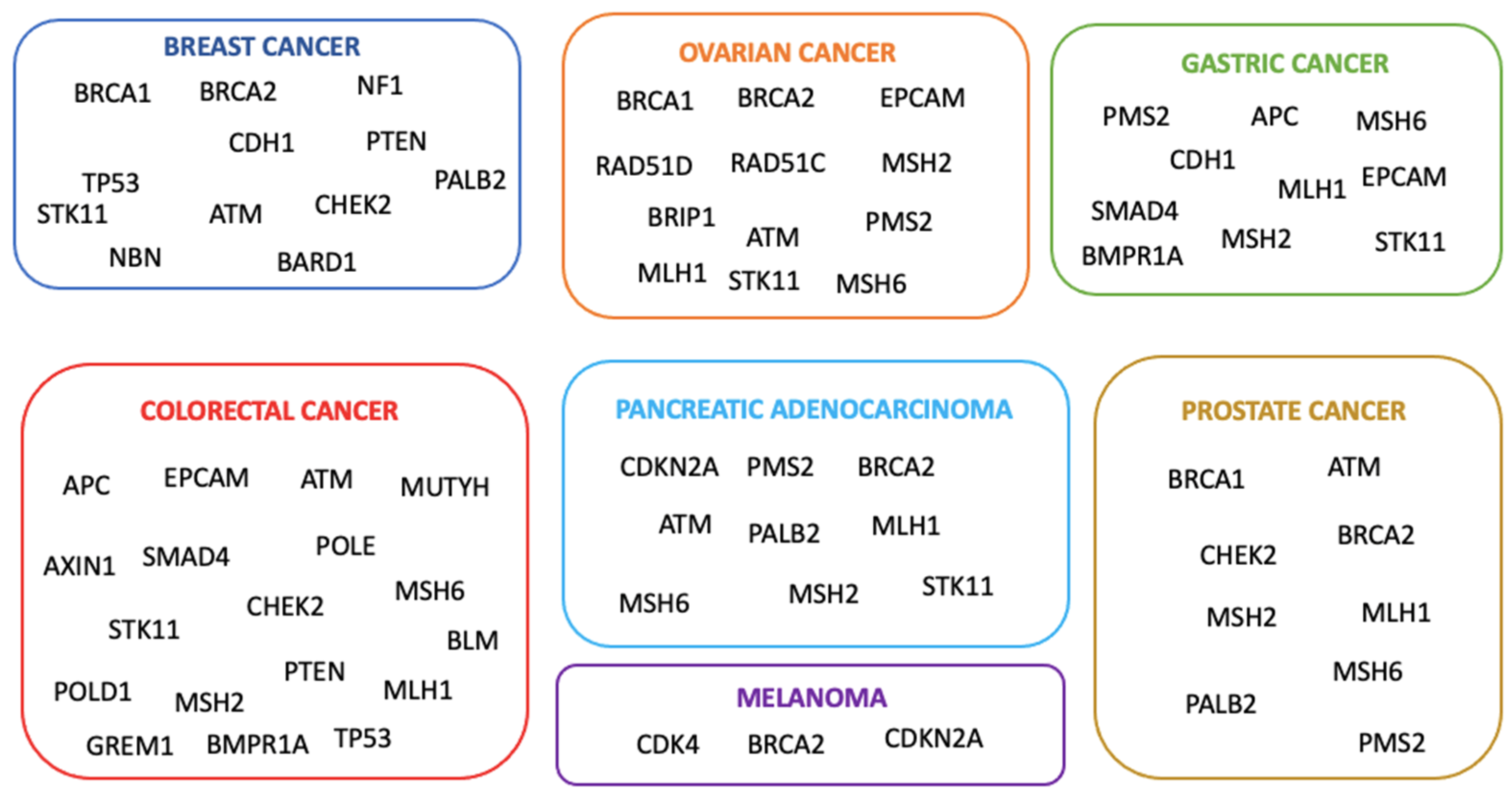 Cancers 16 02327 g001