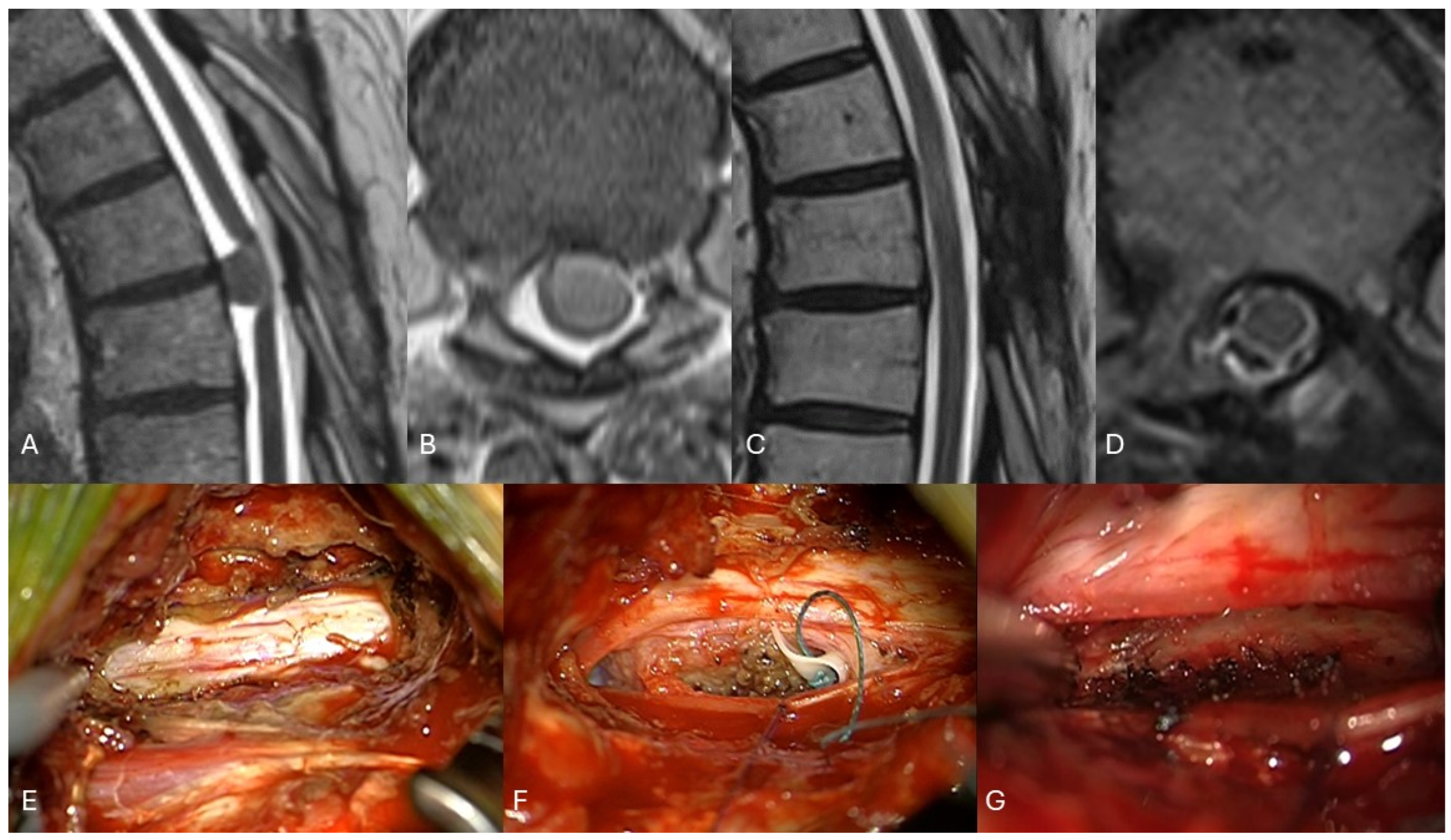 Cancers 16 02336 g007