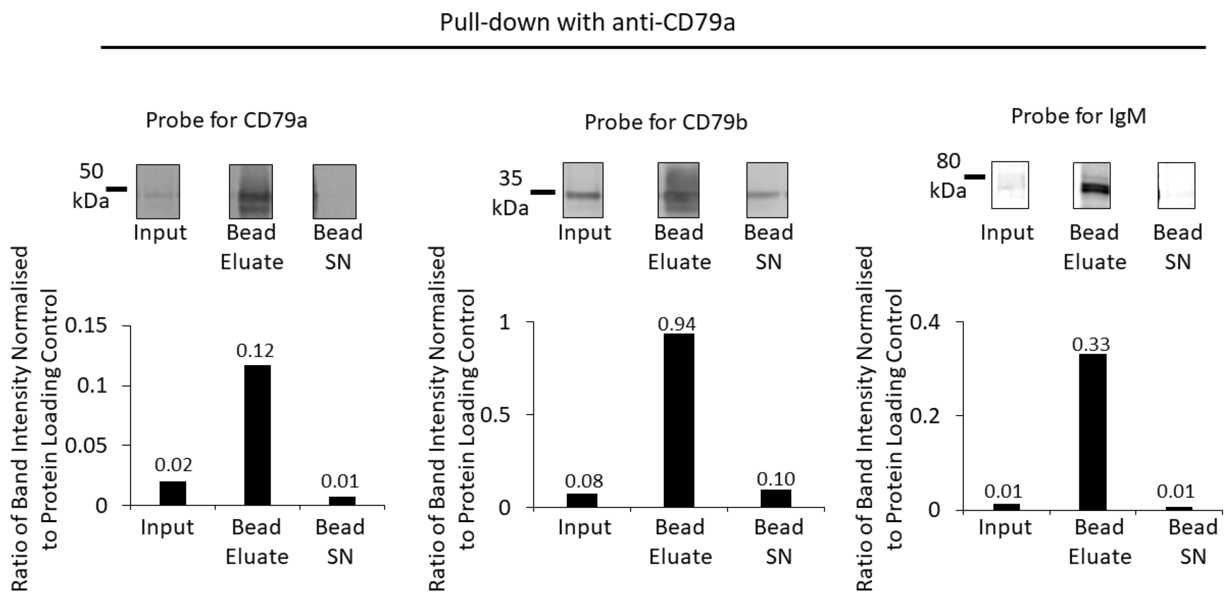 Cancers 16 02341 g004