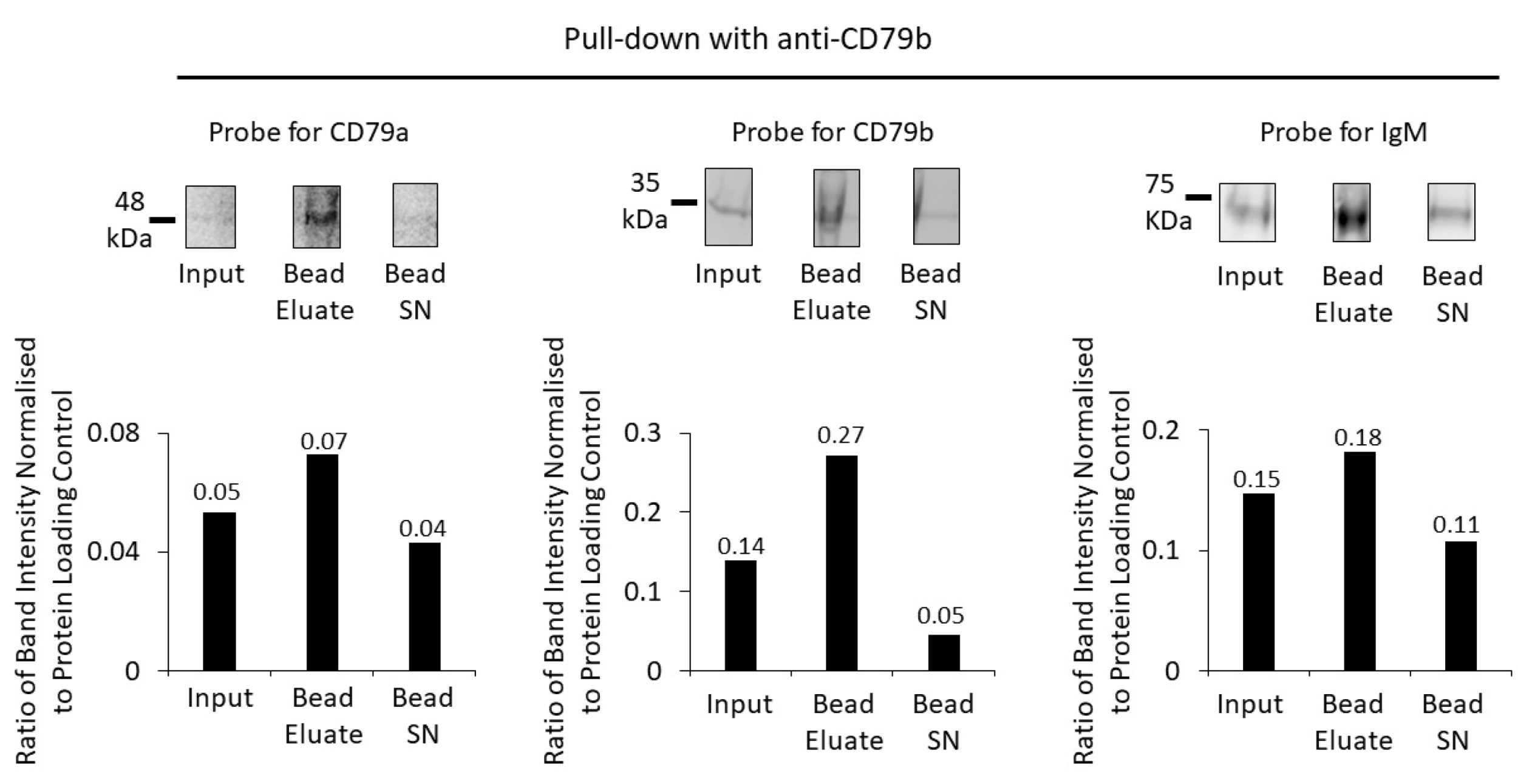 Cancers 16 02341 g005