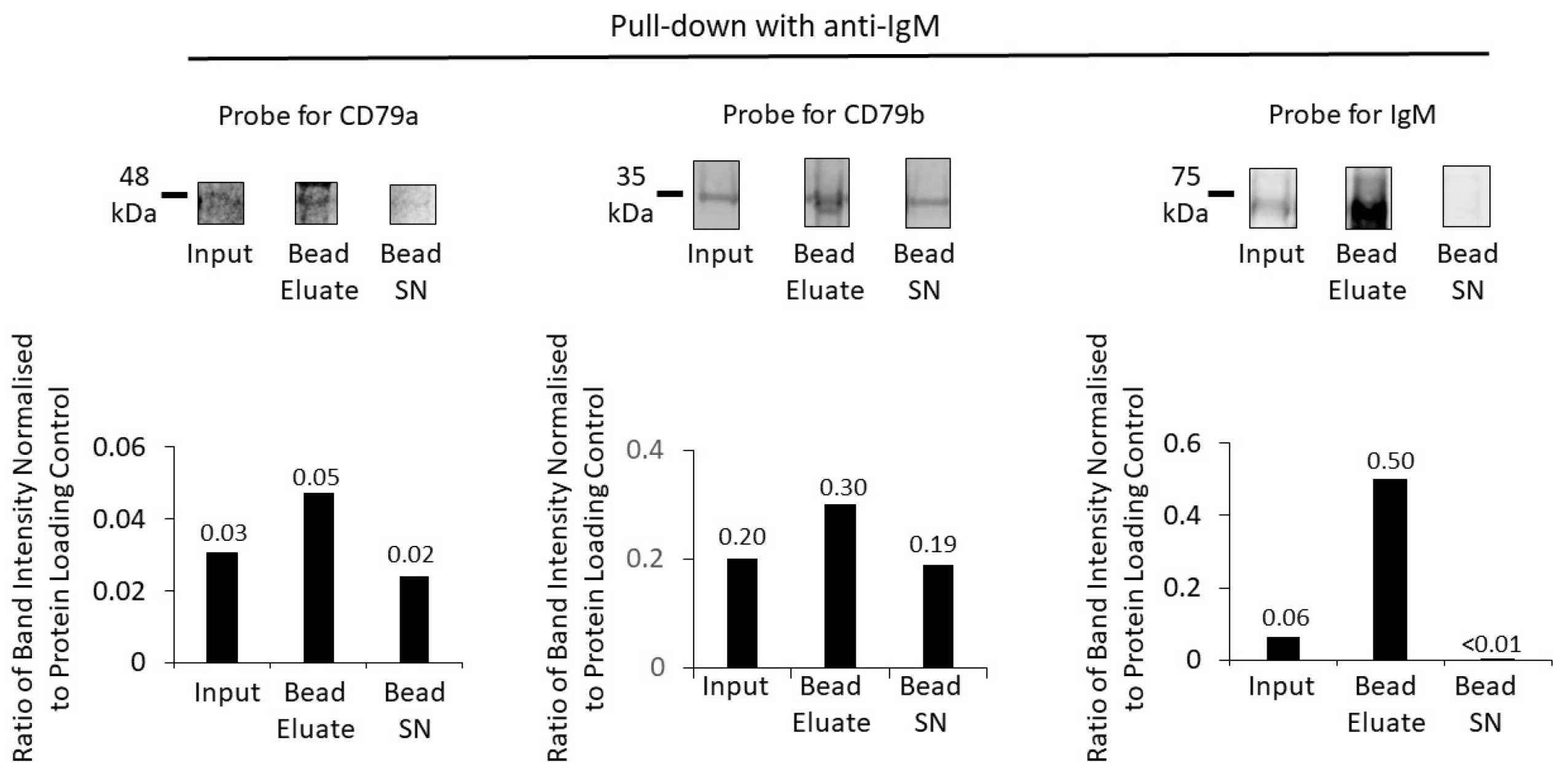 Cancers 16 02341 g006