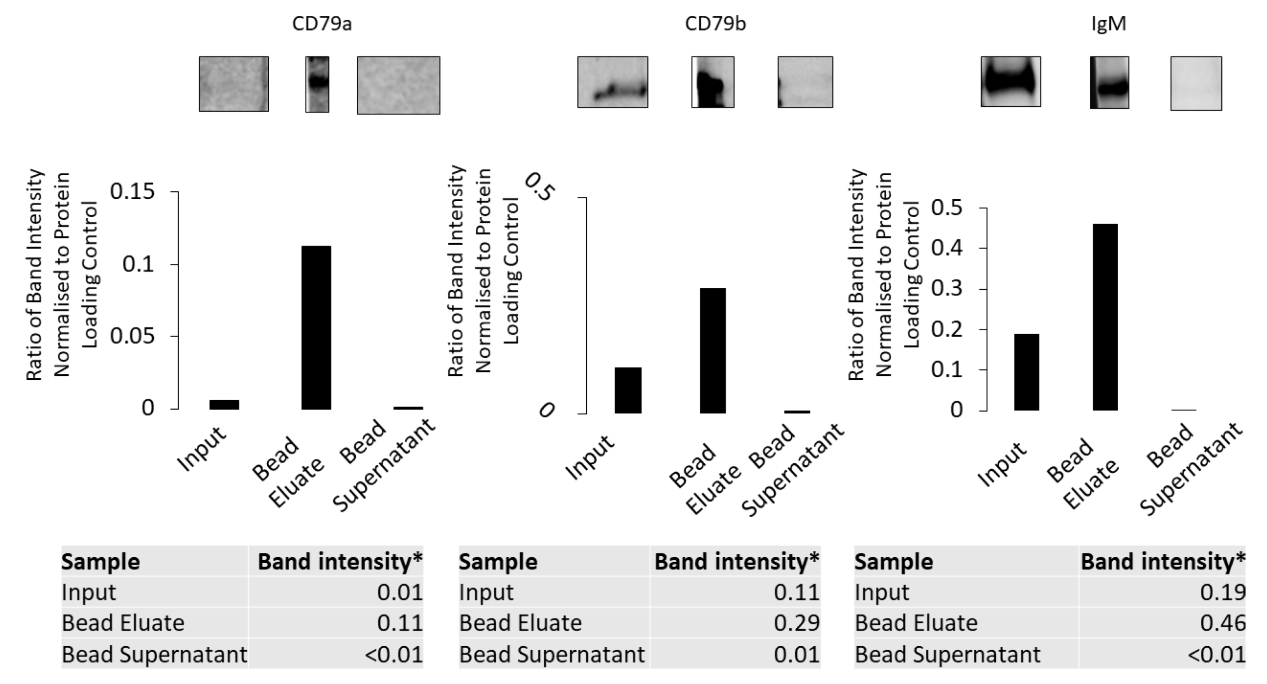 Cancers 16 02341 g007