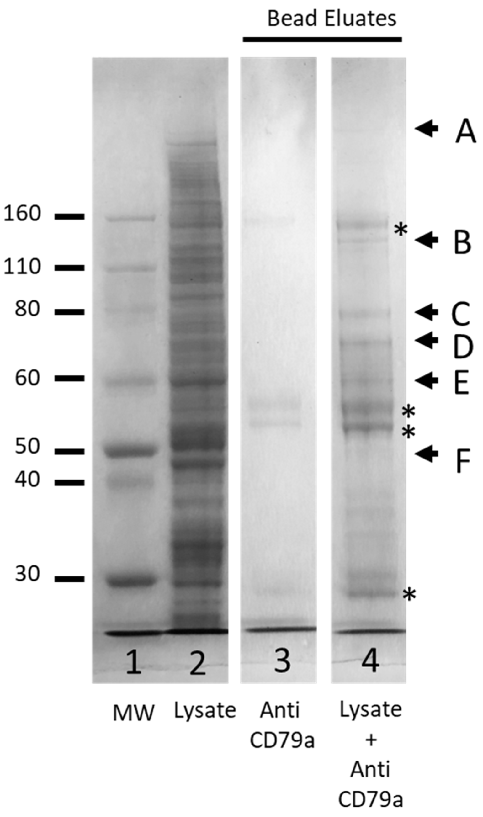 Cancers 16 02341 g008