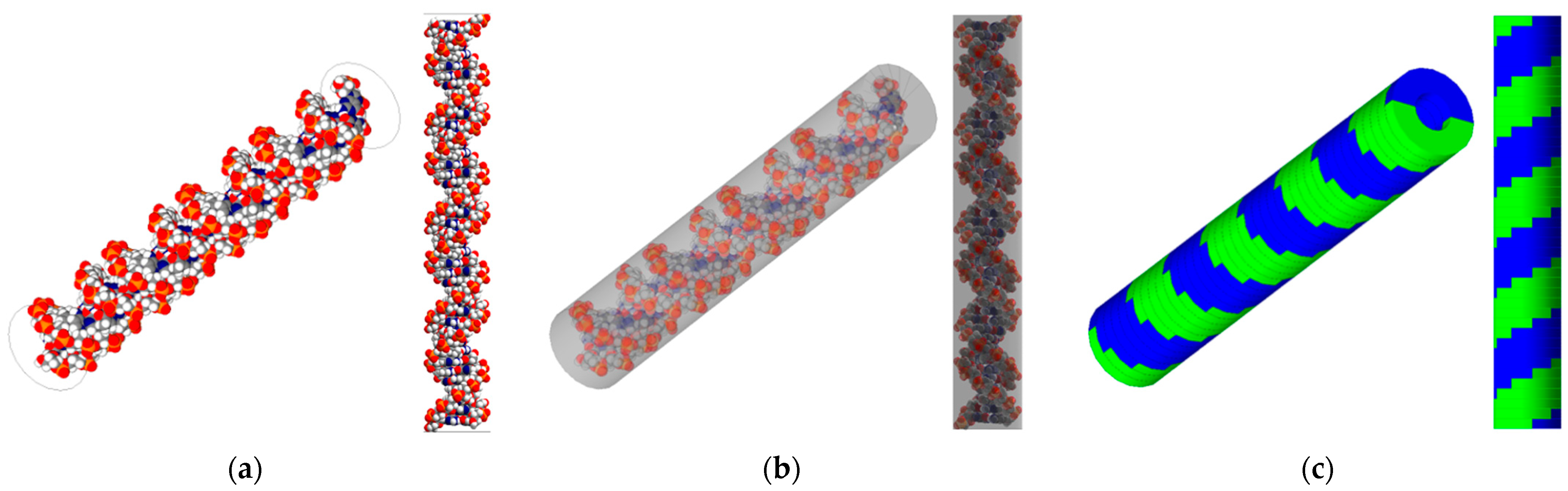 Cancers 16 02349 g001