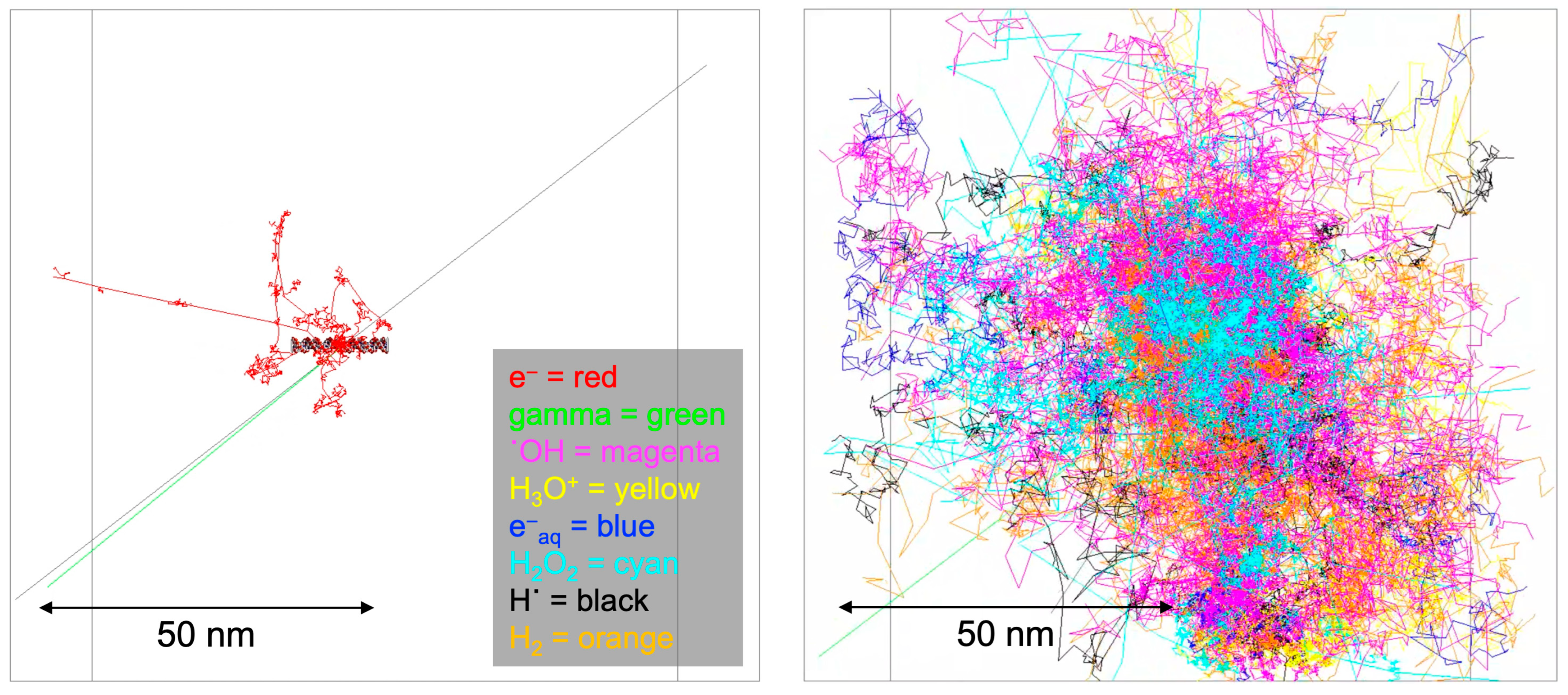 Cancers 16 02349 g002