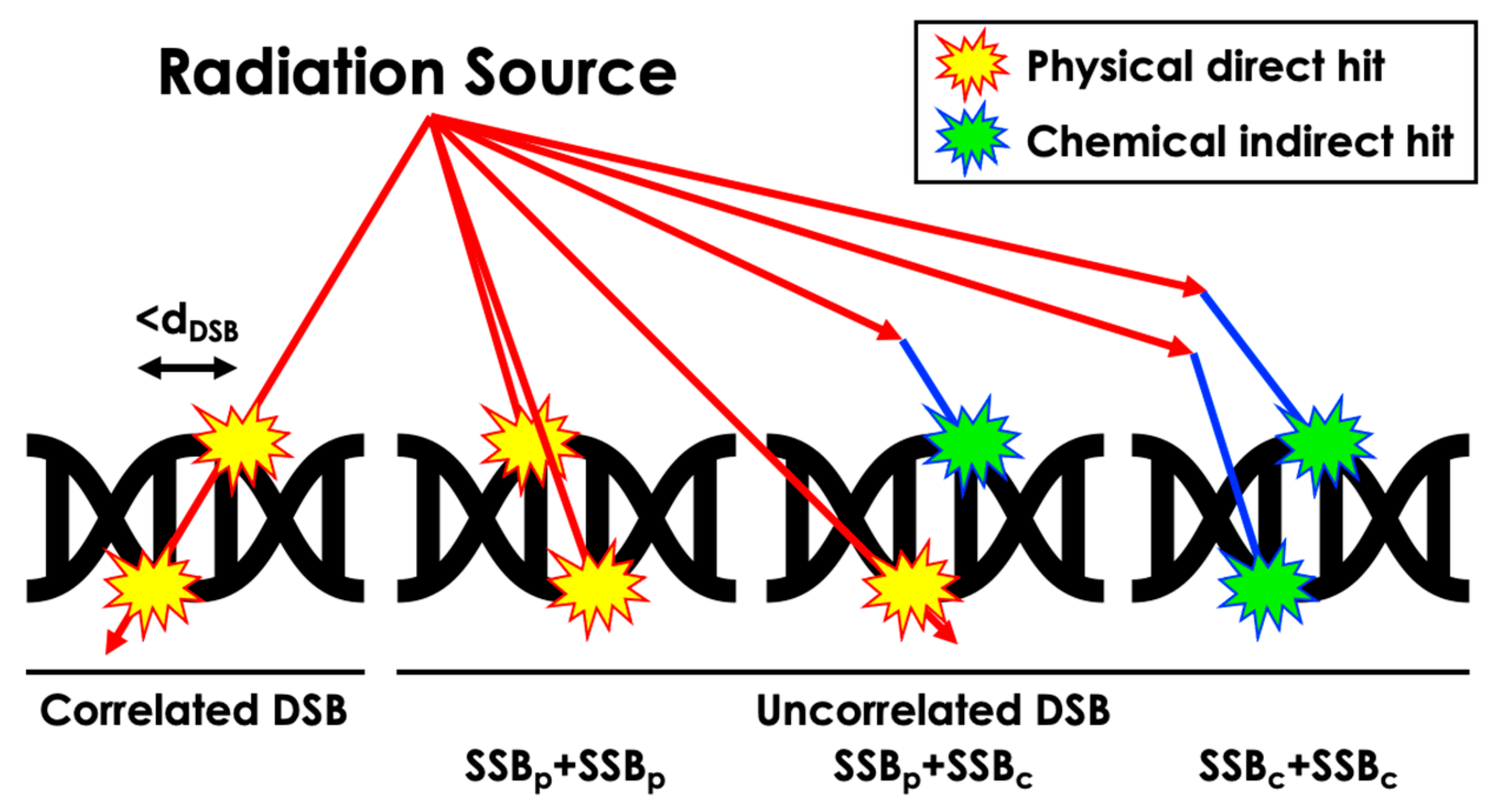 Cancers 16 02349 g003