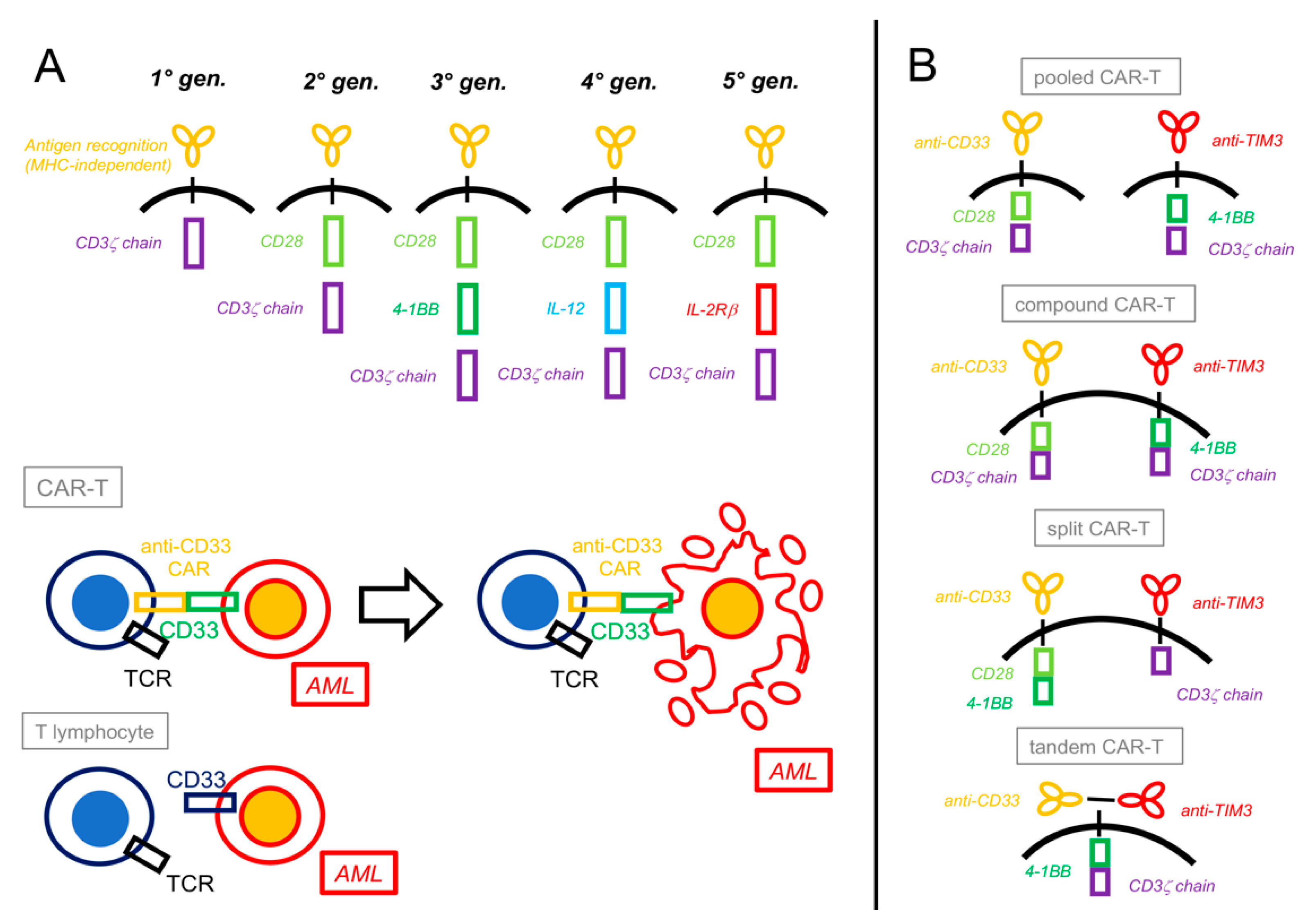 Cancers 16 02359 g002