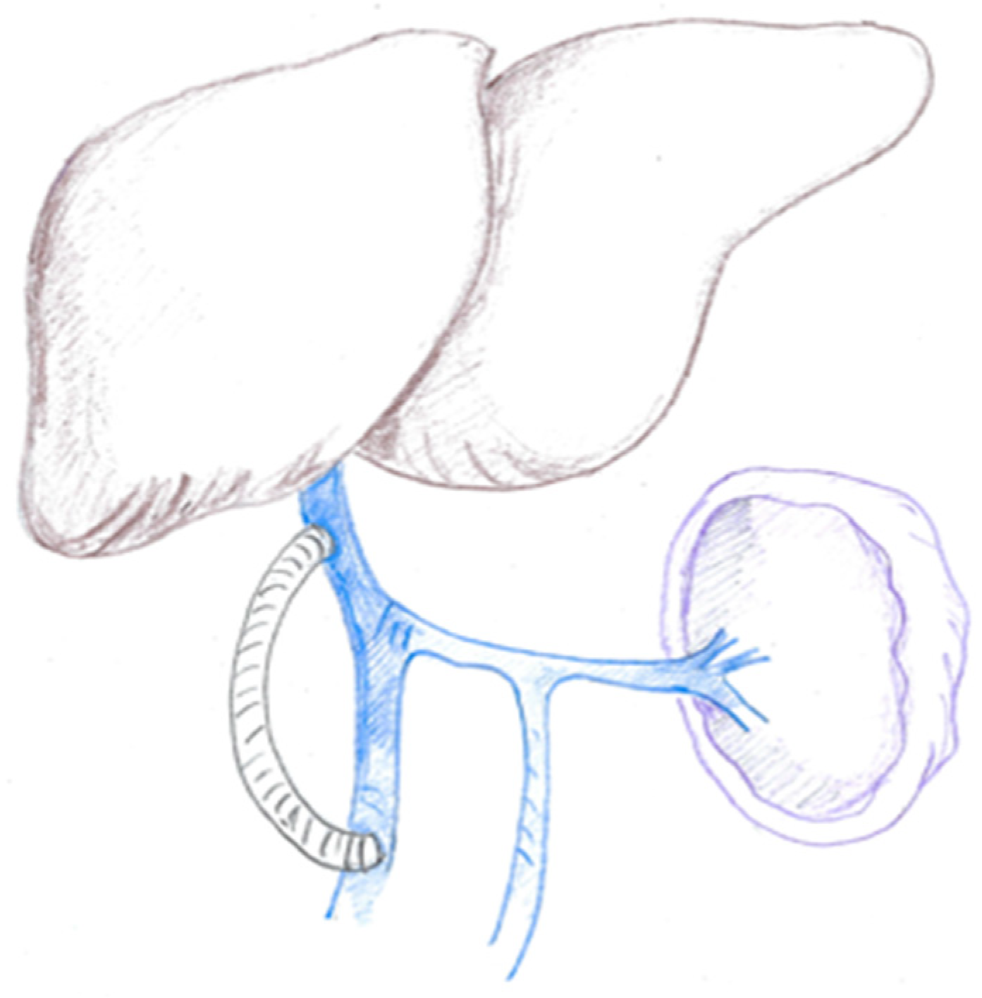 Cancers 16 02361 g002