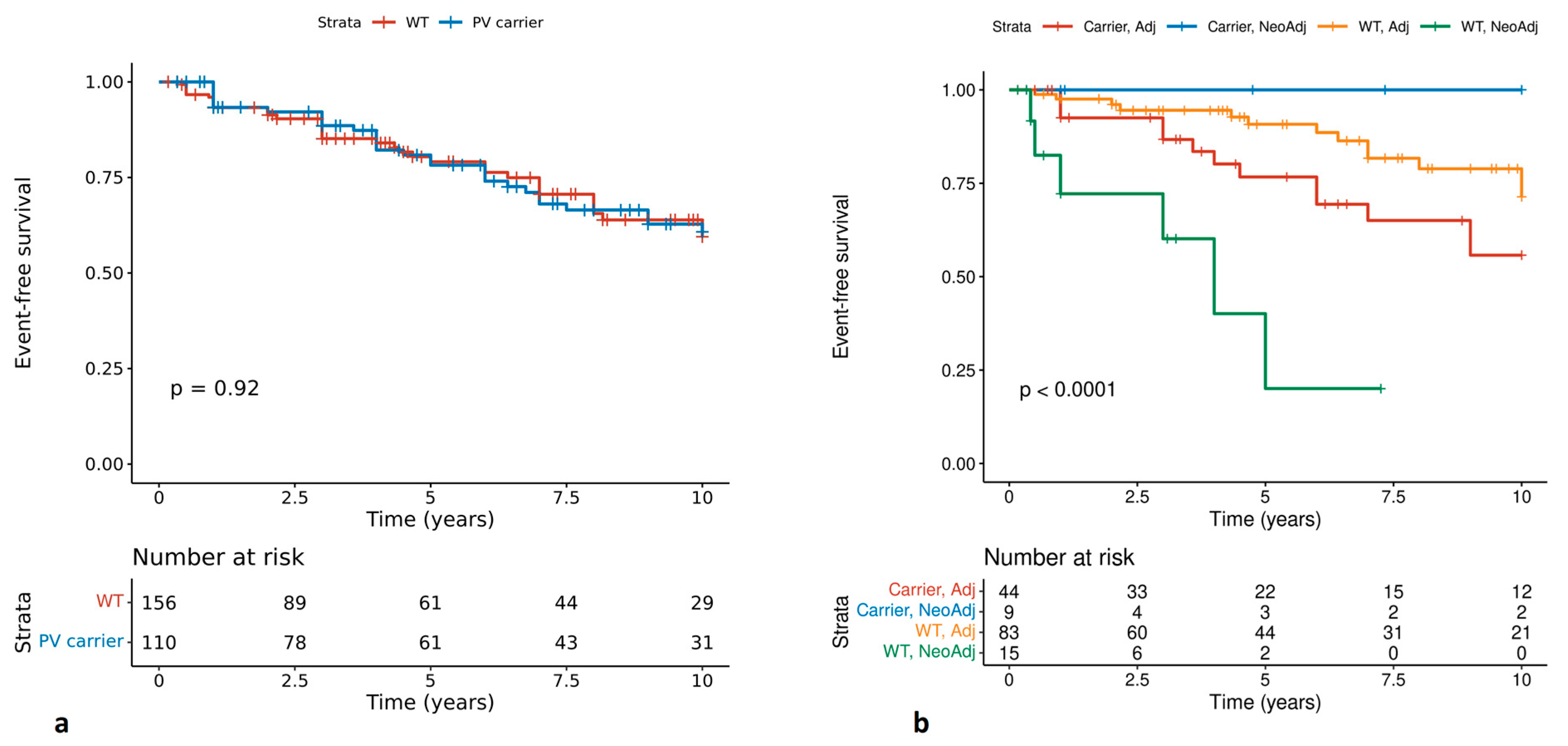 Cancers 16 02368 g002