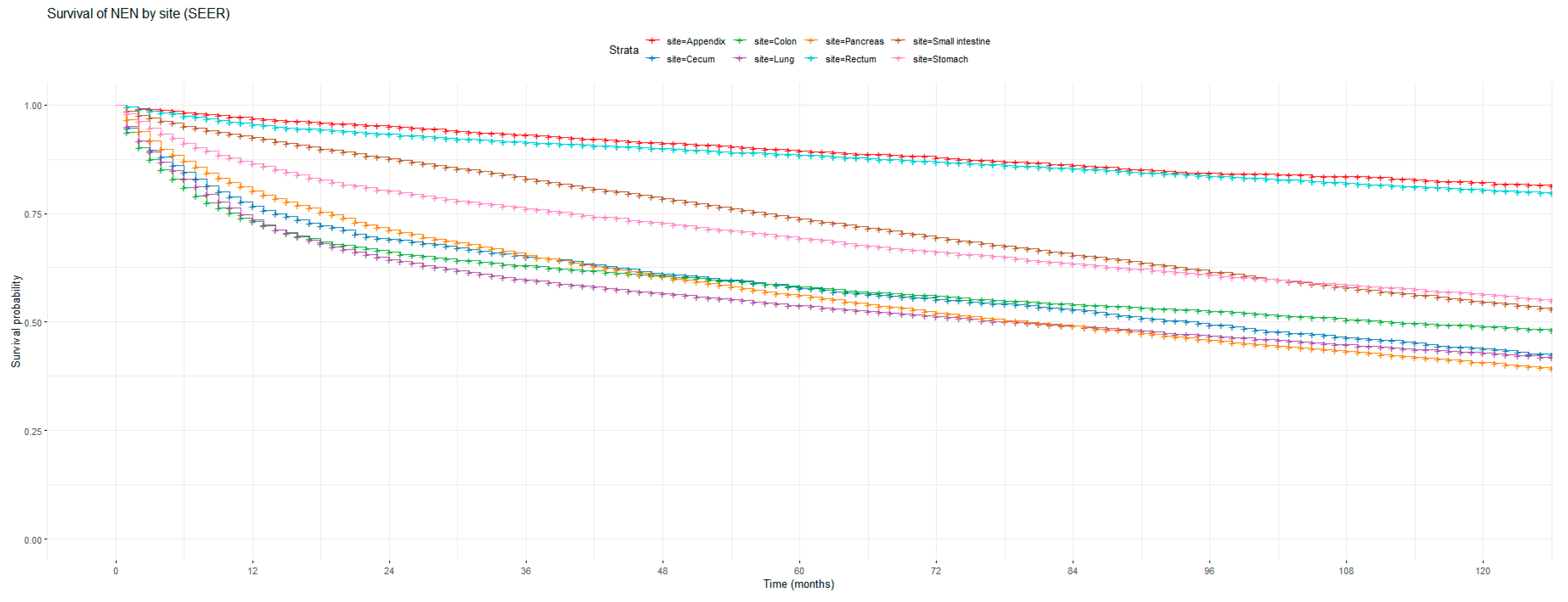 Cancers 16 02376 g001