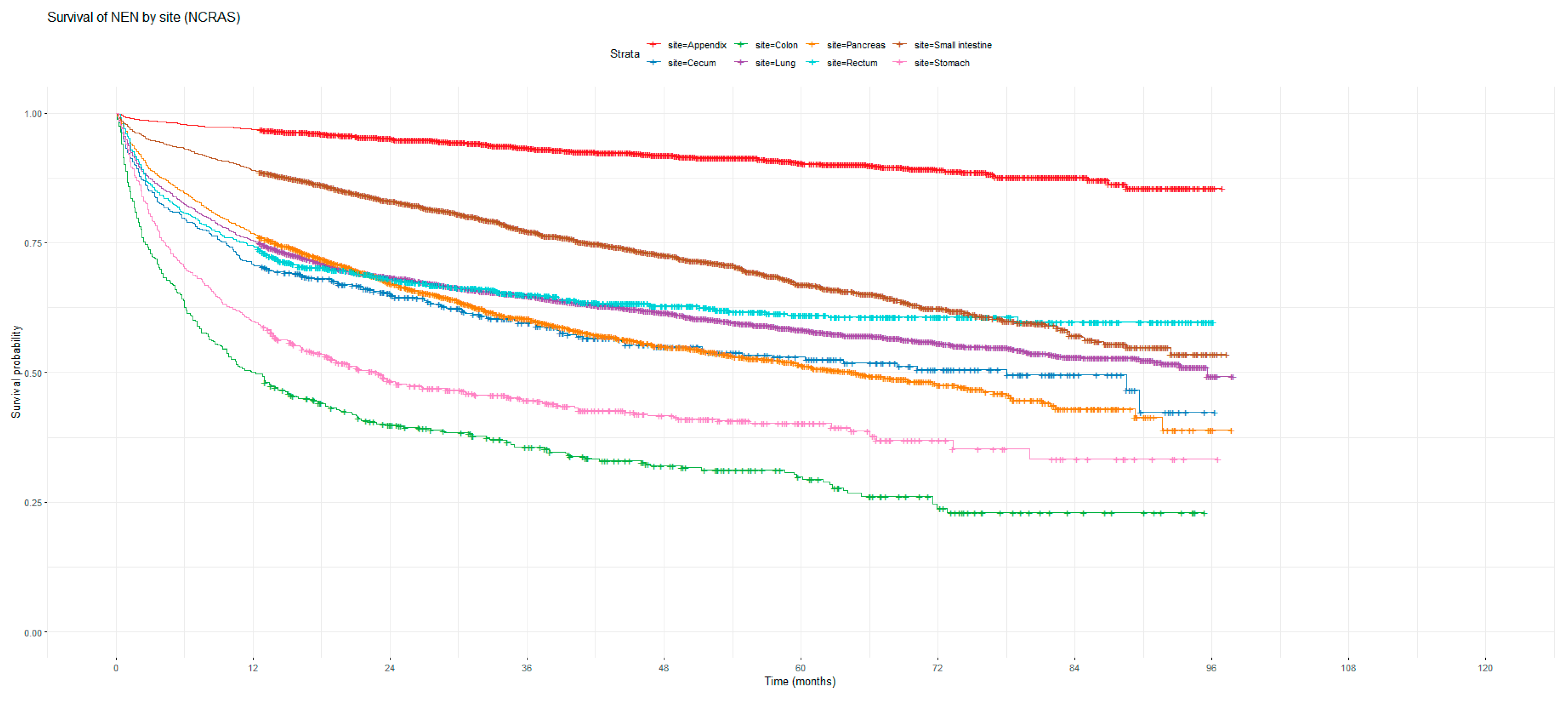 Cancers 16 02376 g002