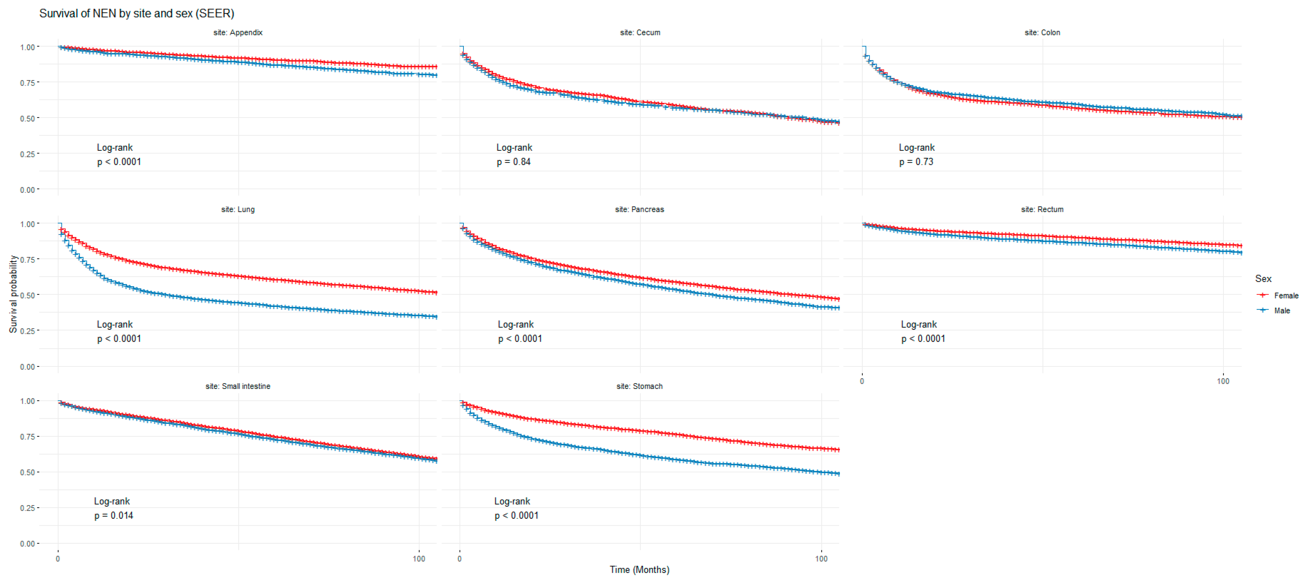 Cancers 16 02376 g004