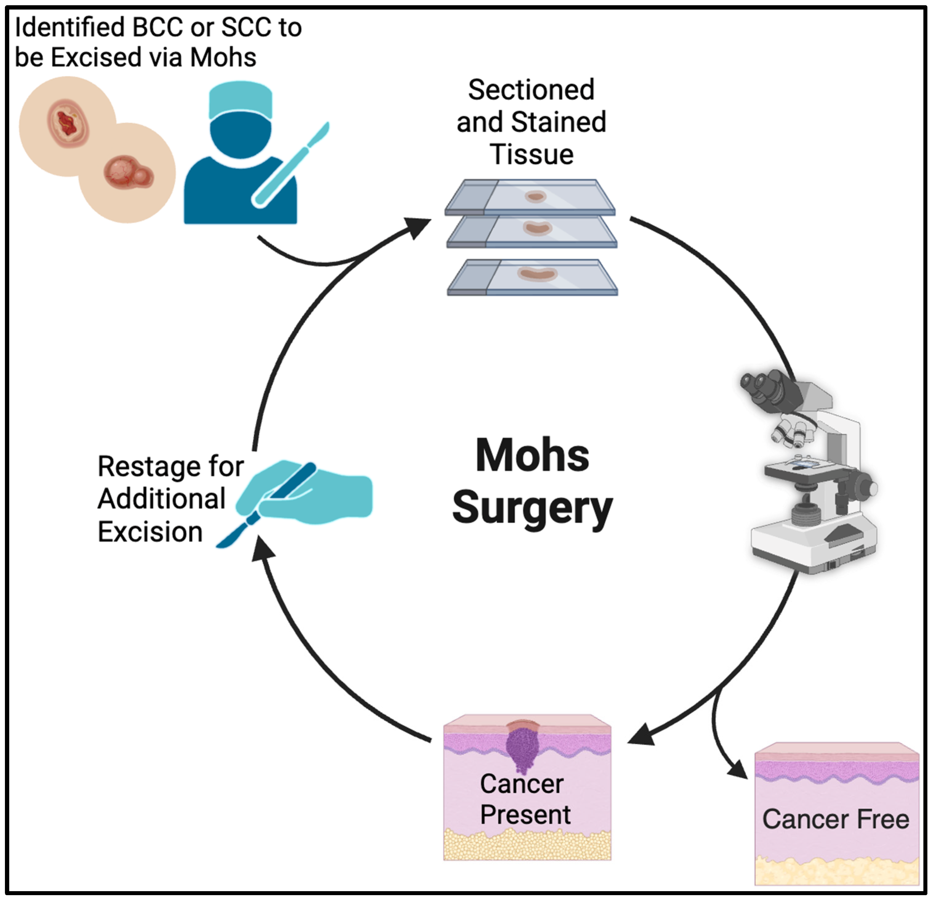 Cancers 16 02380 g001