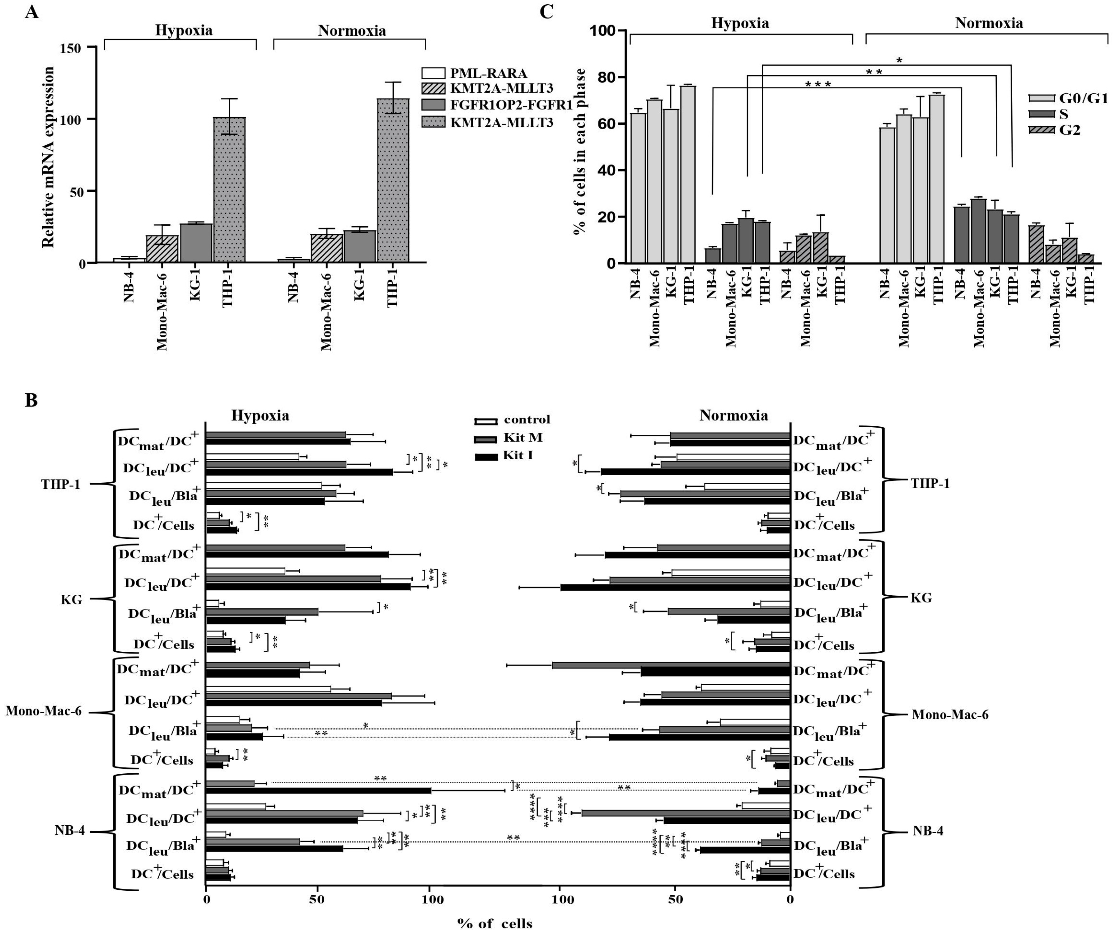 Cancers 16 02383 g001 Cancers 16 02383 g001