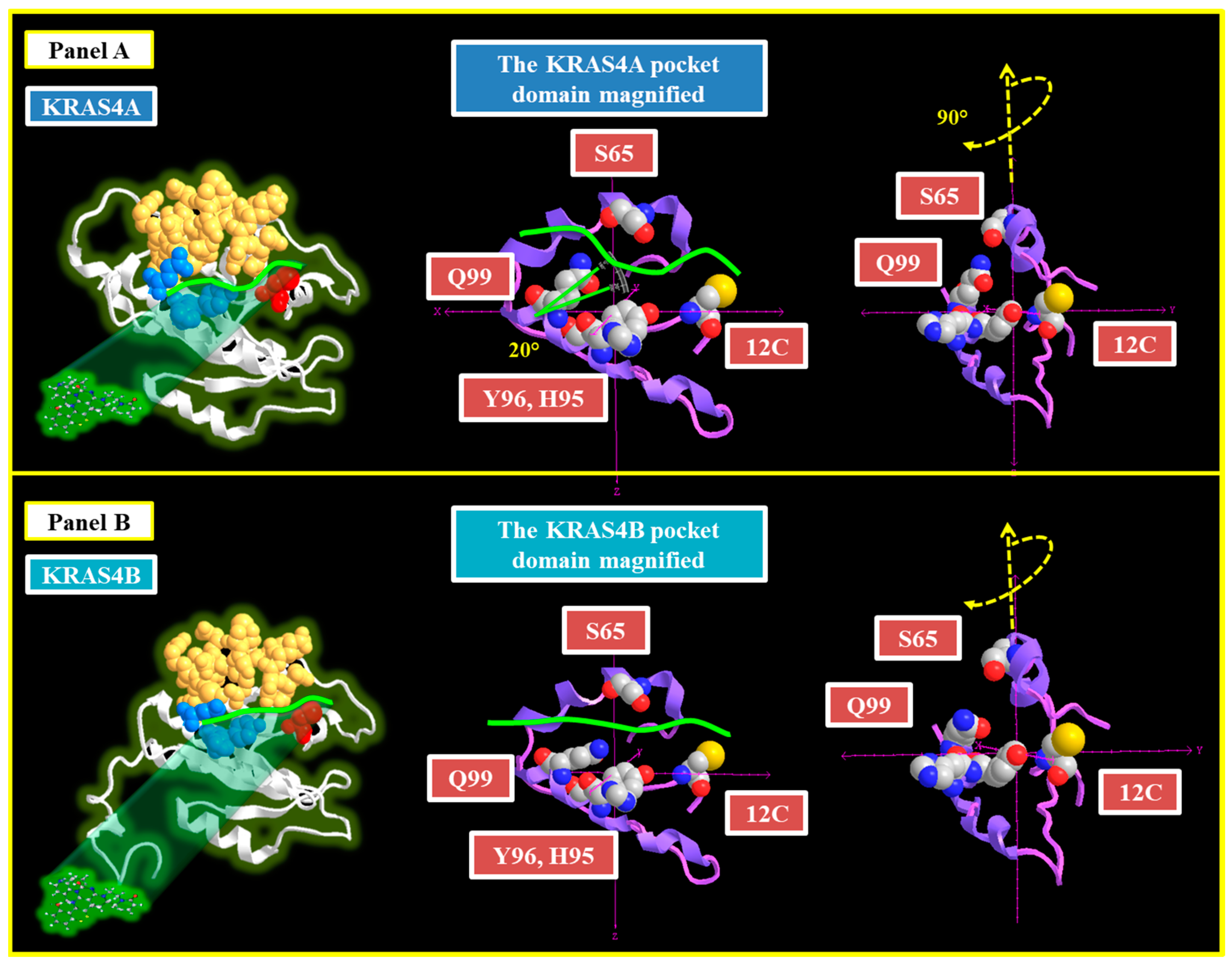 Cancers 16 02389 g002
