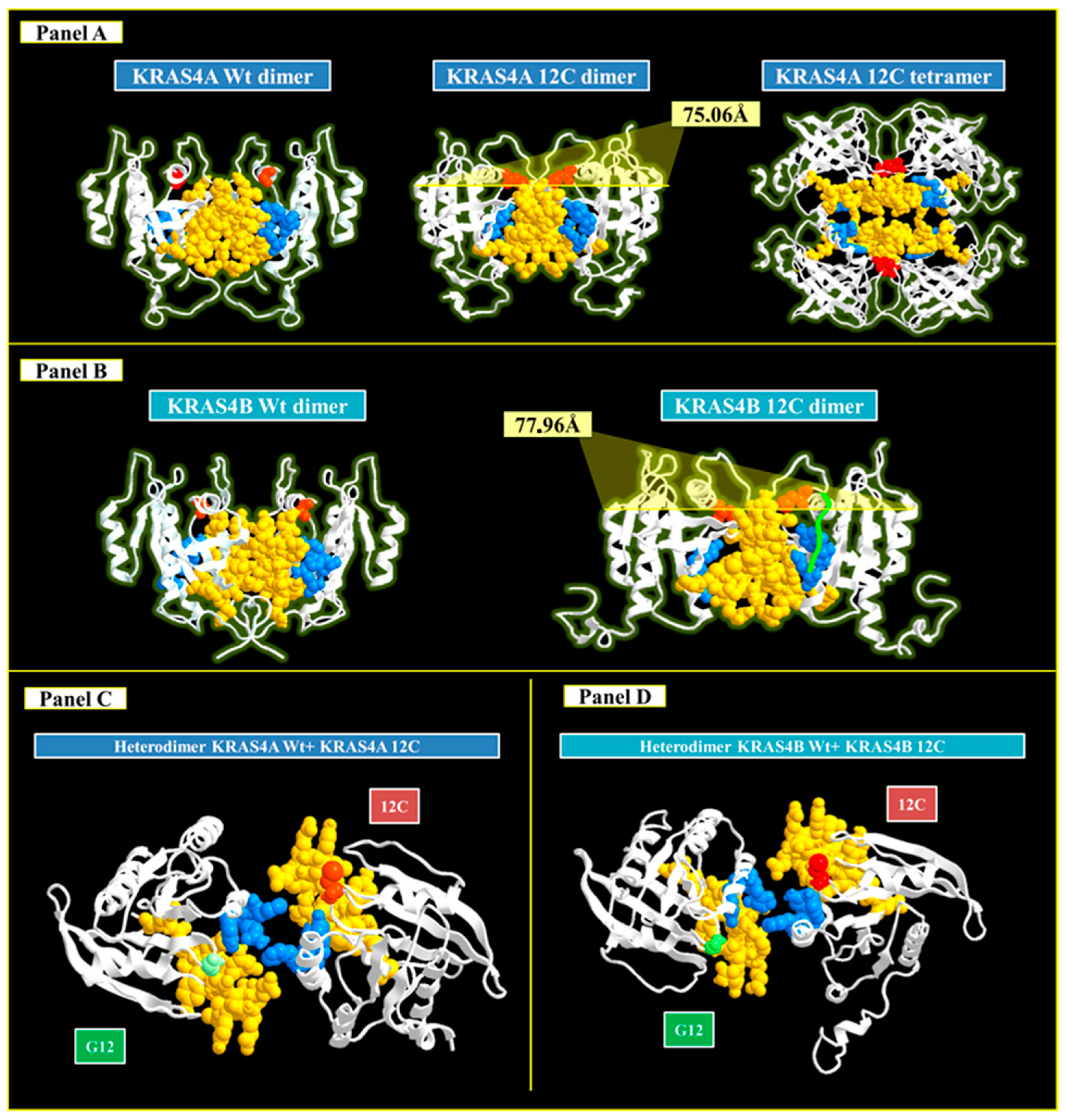Cancers 16 02389 g003