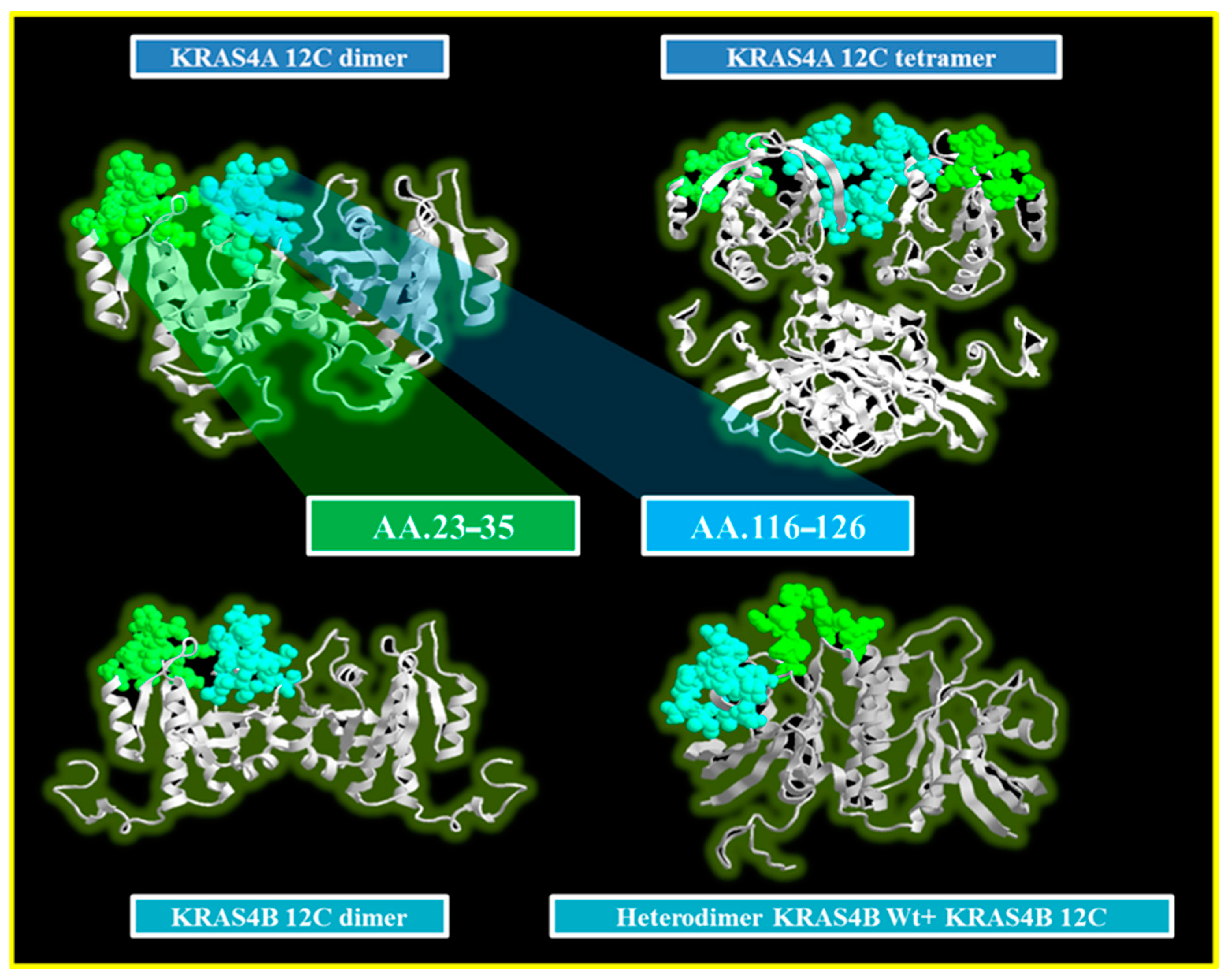 Cancers 16 02389 g004