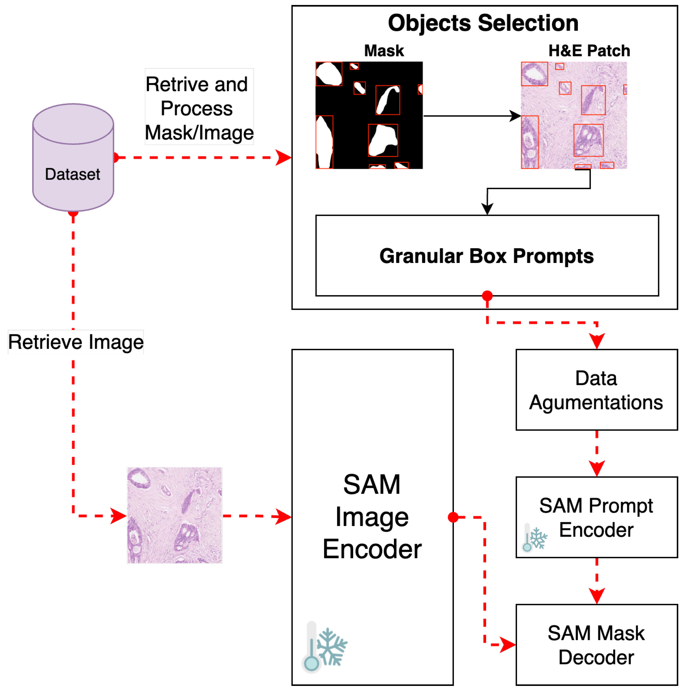 Cancers 16 02391 g002