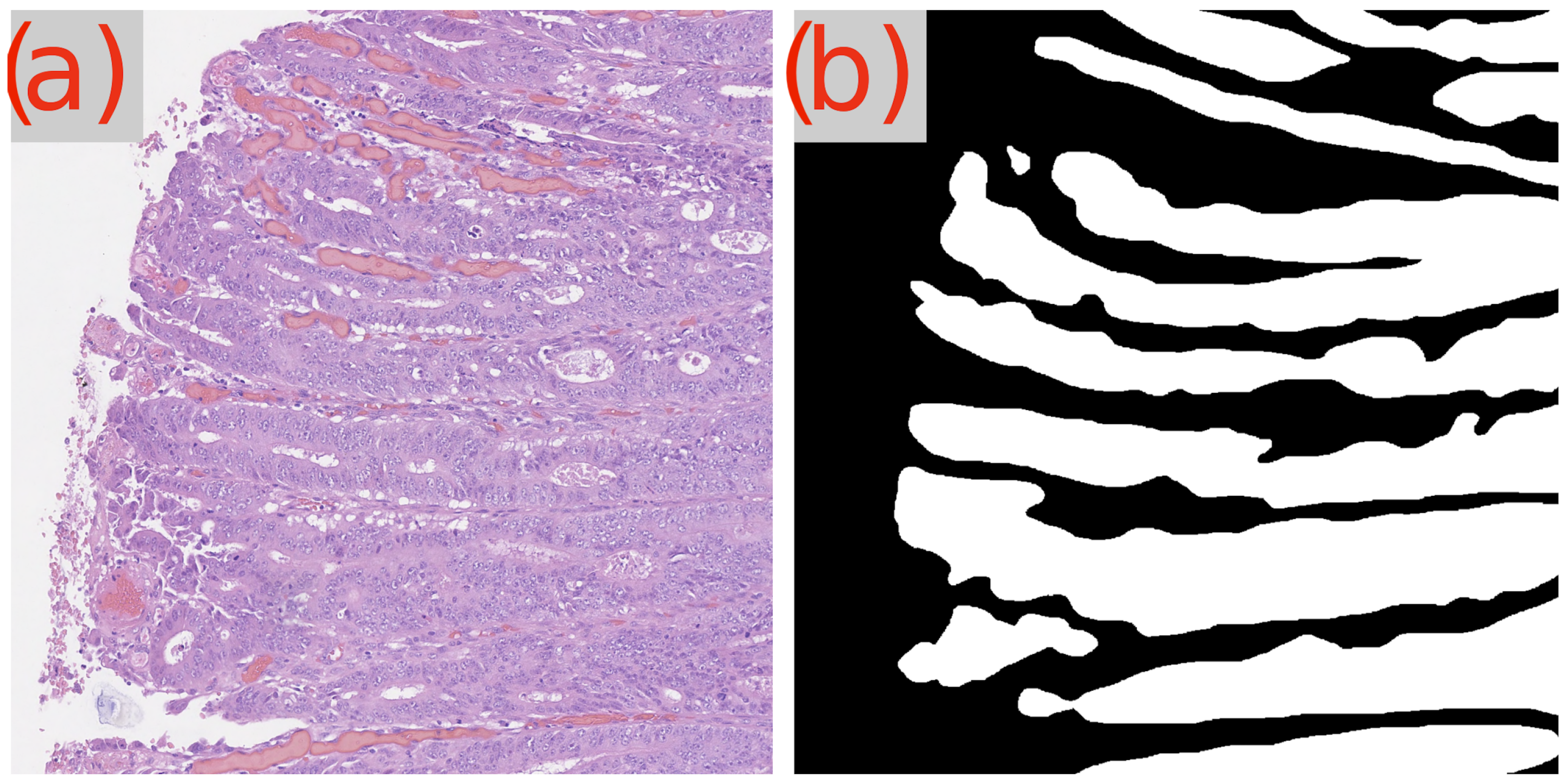 Cancers 16 02391 g003a