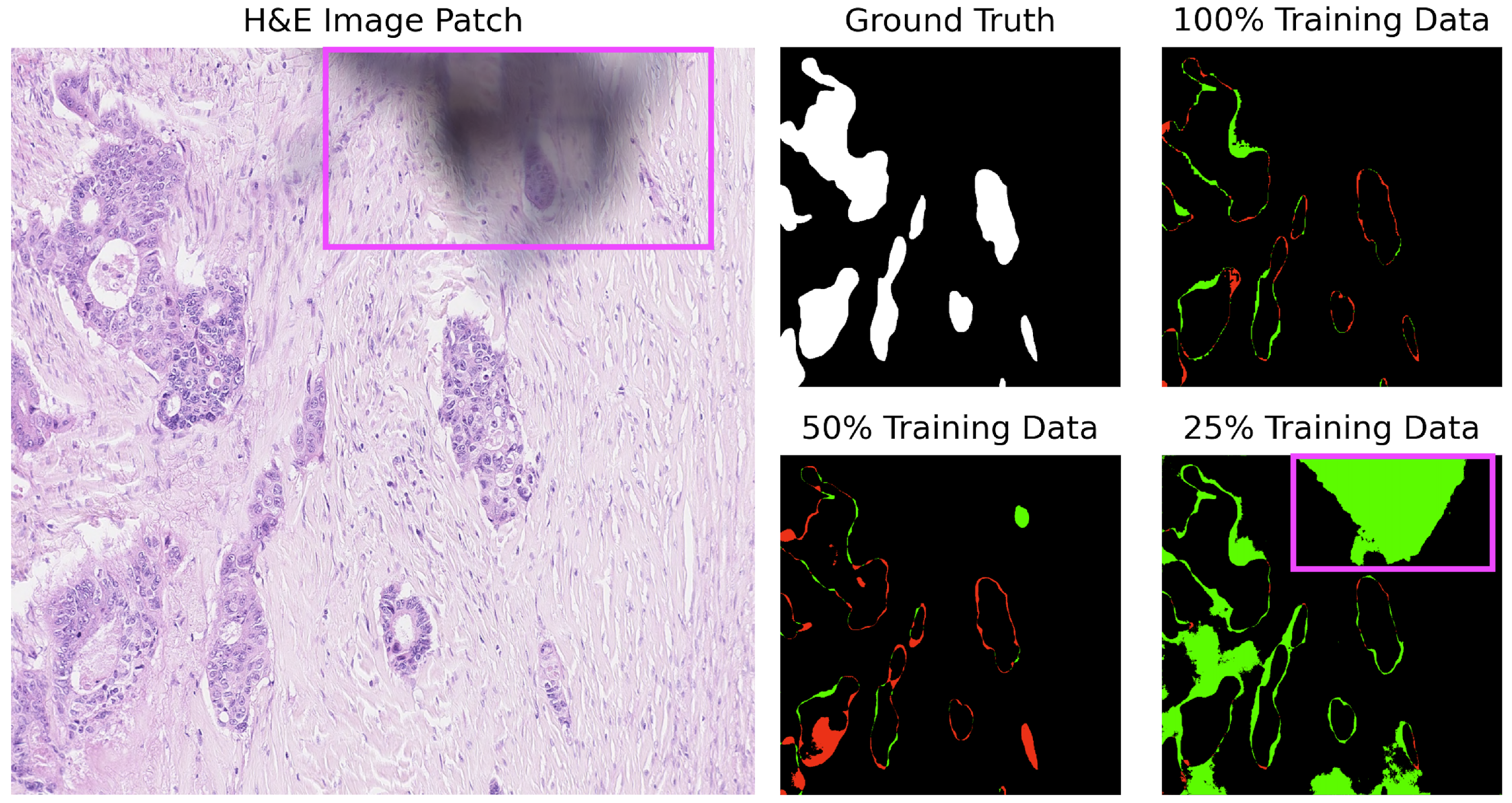 Cancers 16 02391 g007