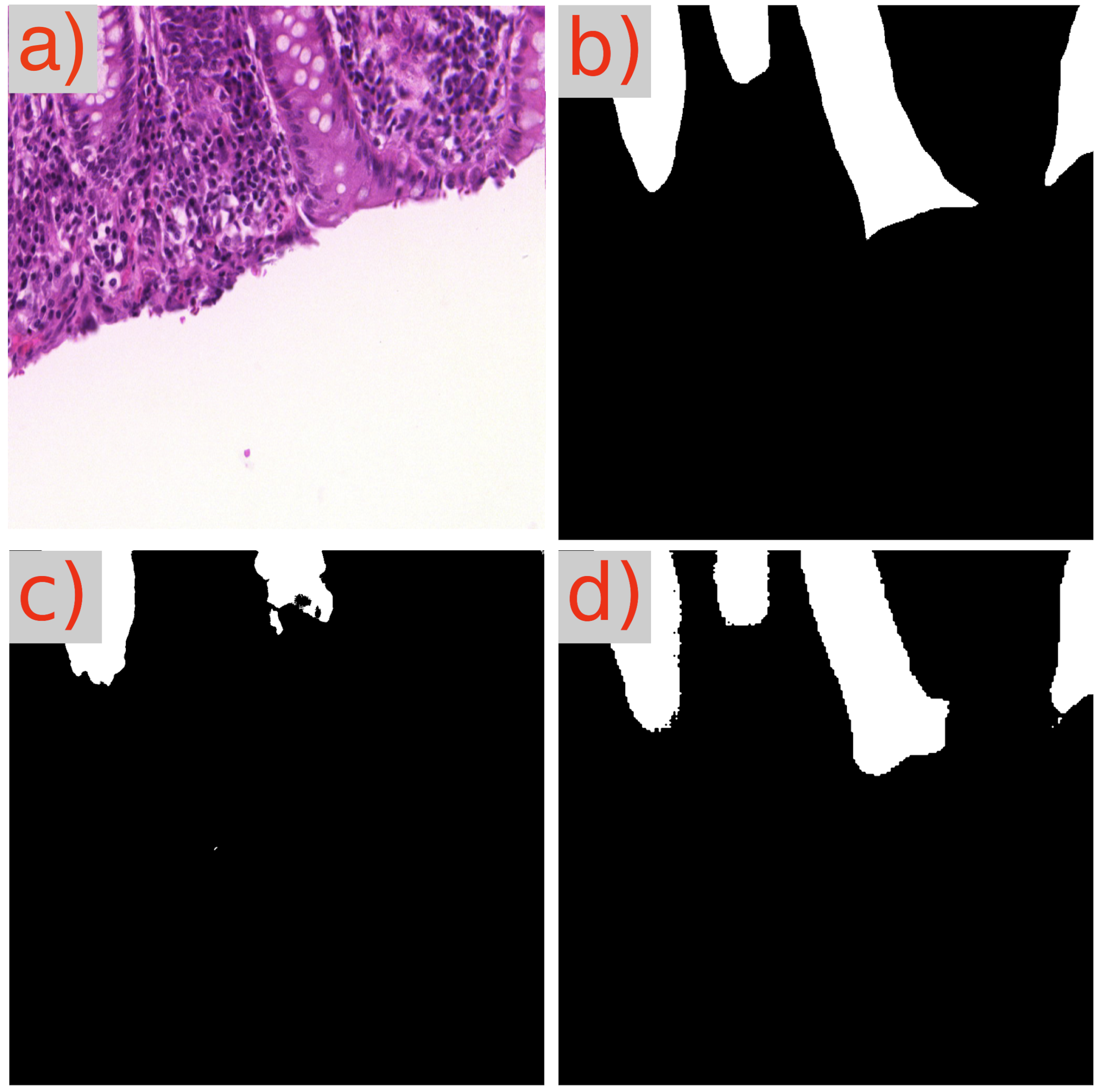 Cancers 16 02391 g008