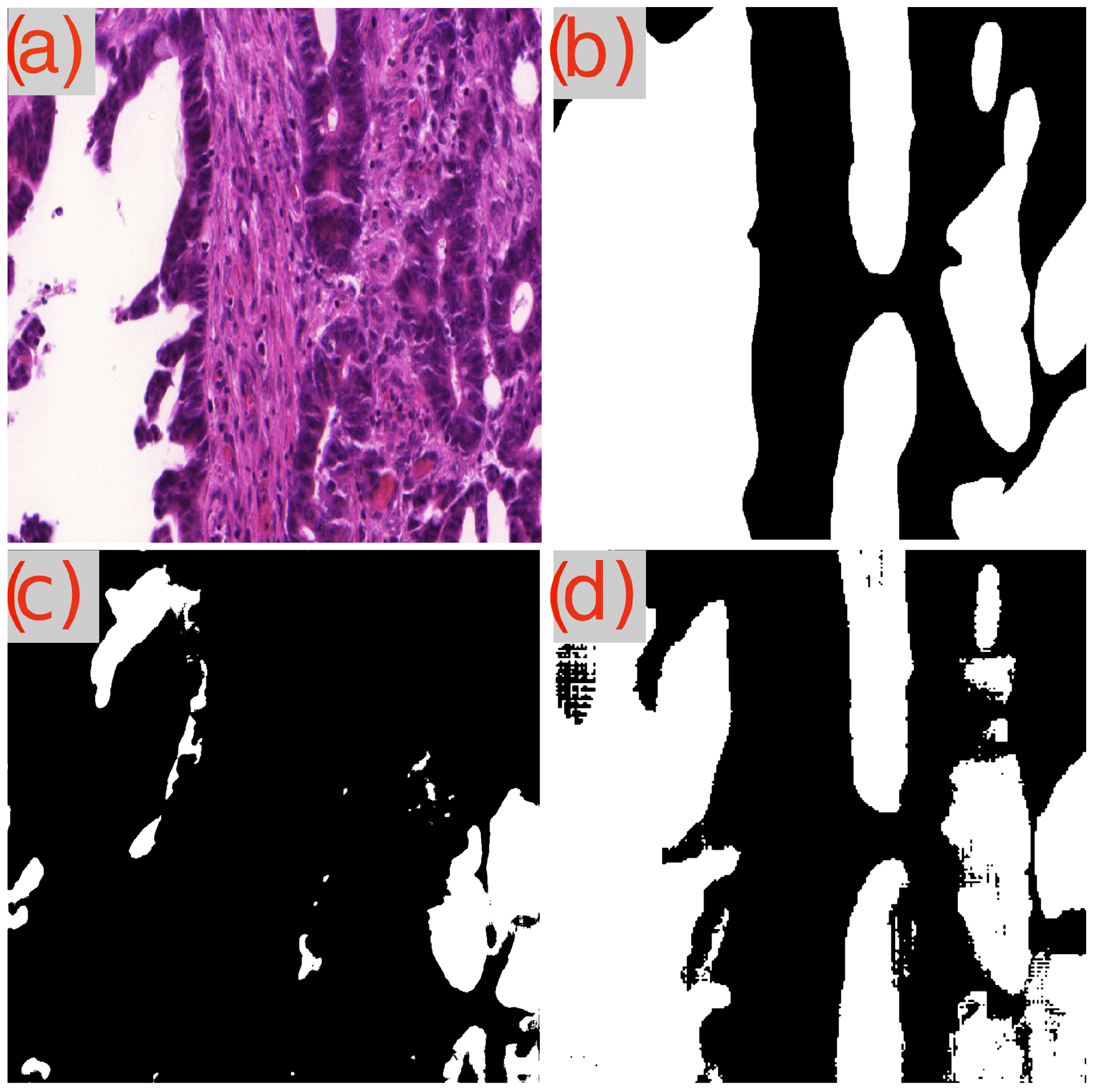 Cancers 16 02391 g009