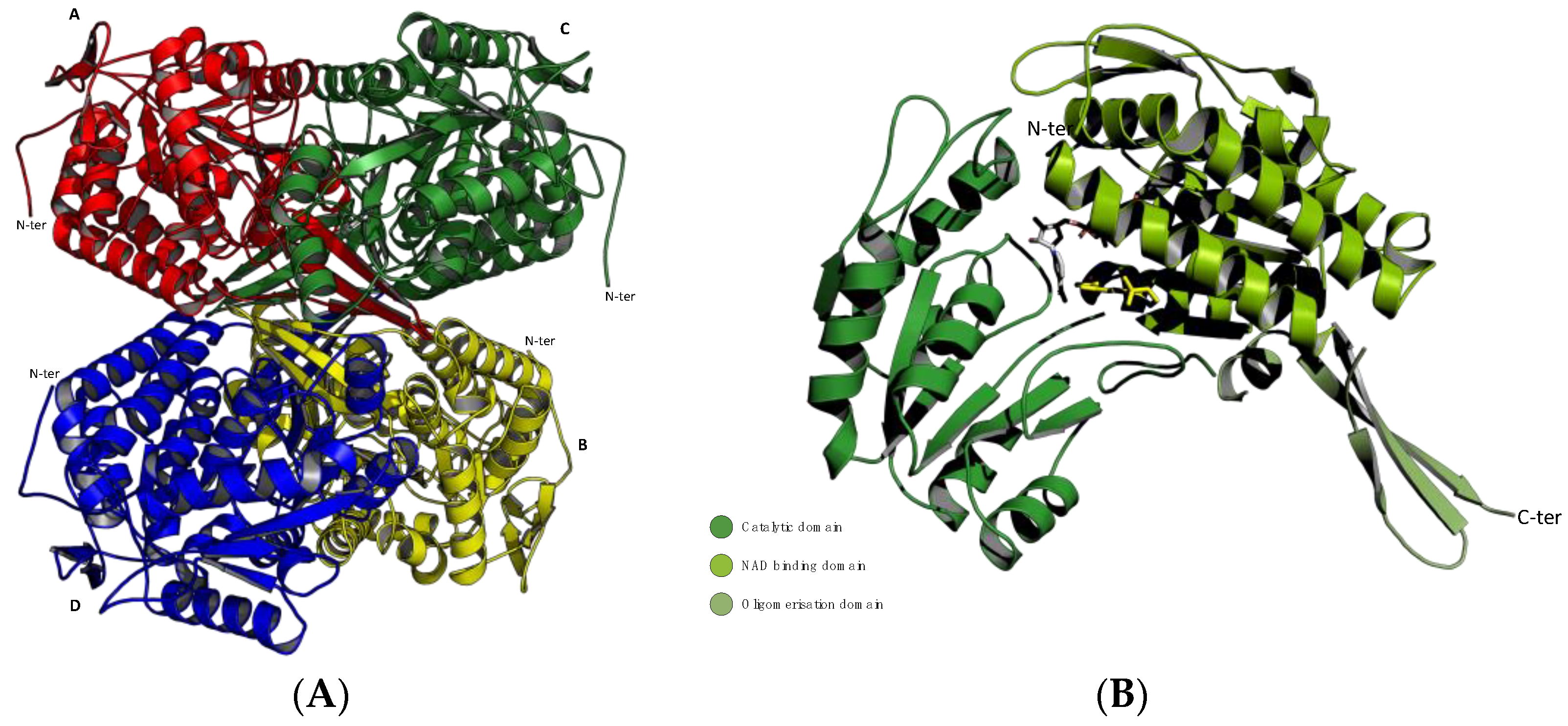 Cancers 16 02397 g001