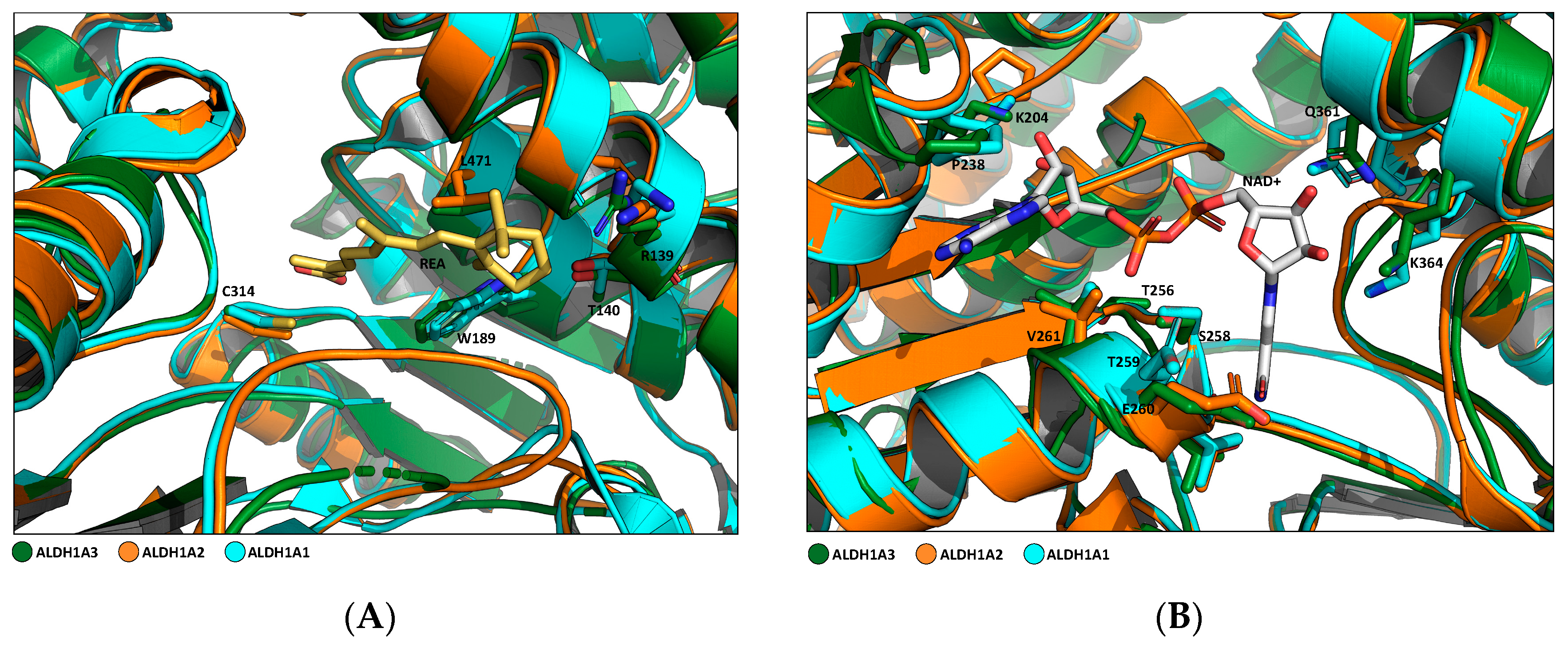 Cancers 16 02397 g003